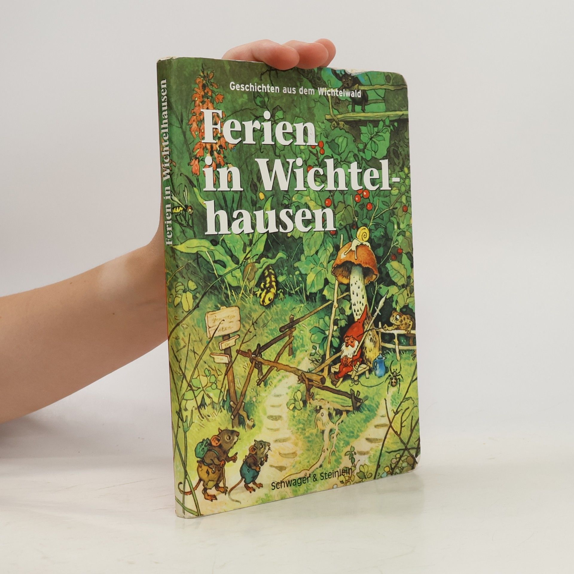 Fritz Baumgarten Geschichten aus dem Wichtelwald