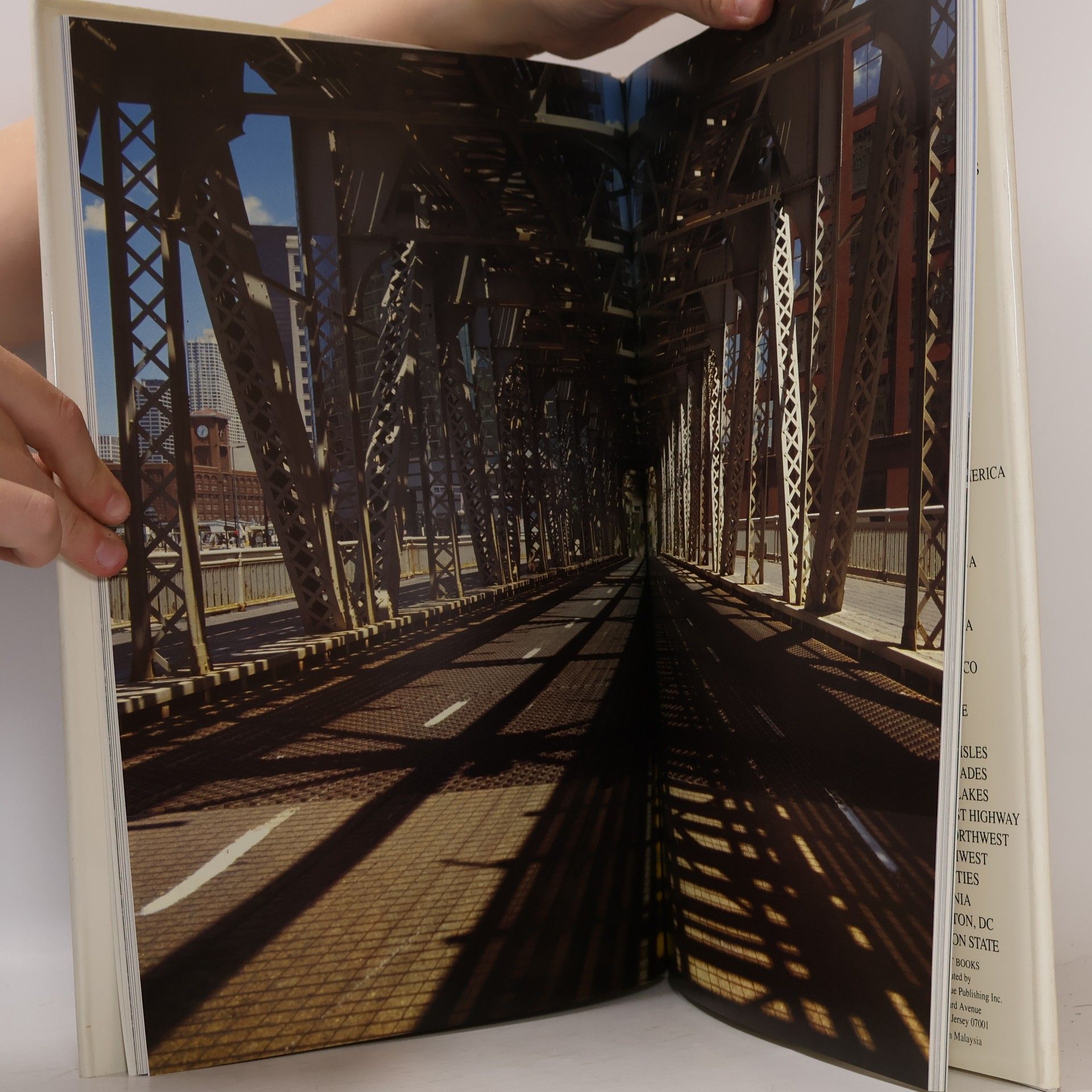 Bill Harris Chicago. A Photographic Journey