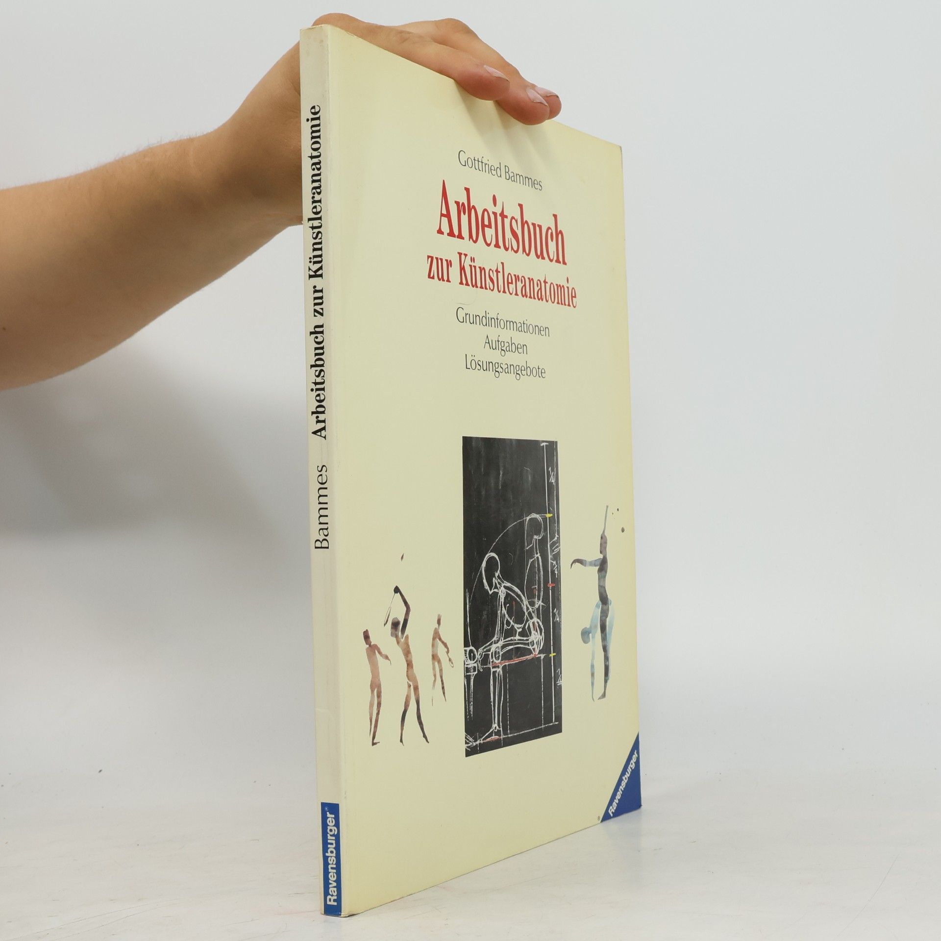 Gottfried Bammes Arbeitsbuch zur Künstleranatomie