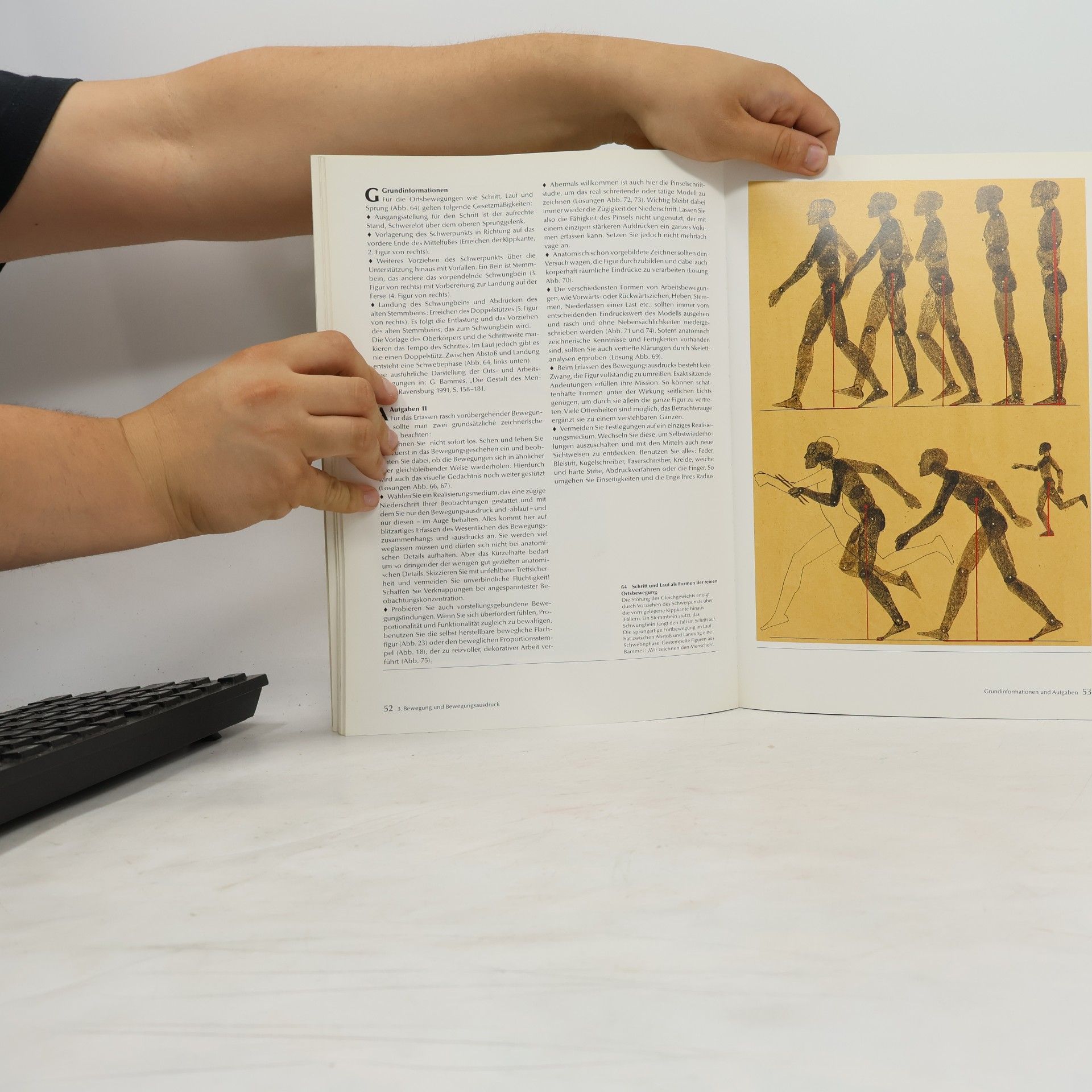 Gottfried Bammes Arbeitsbuch zur Künstleranatomie
