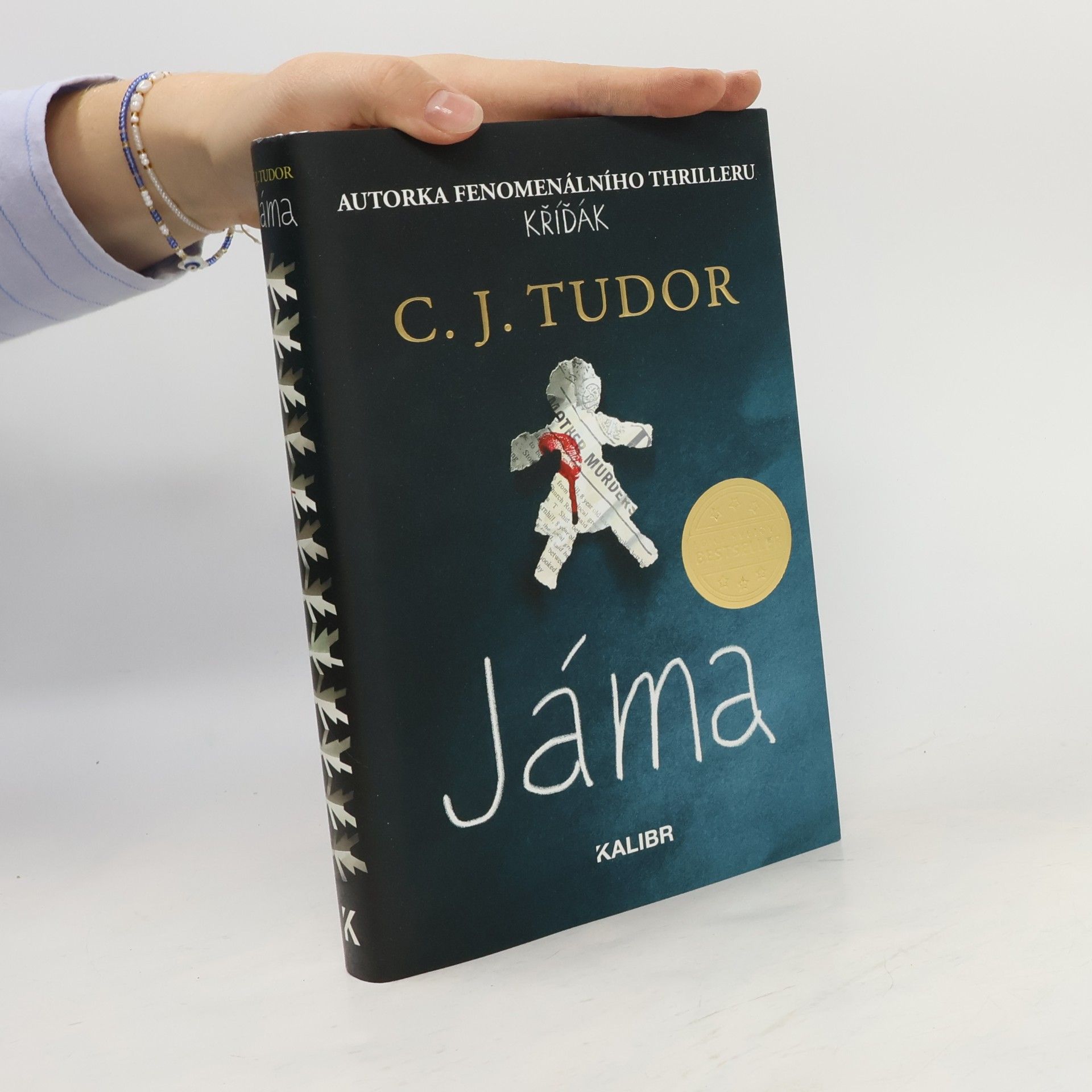 C. J. Tudor Jáma