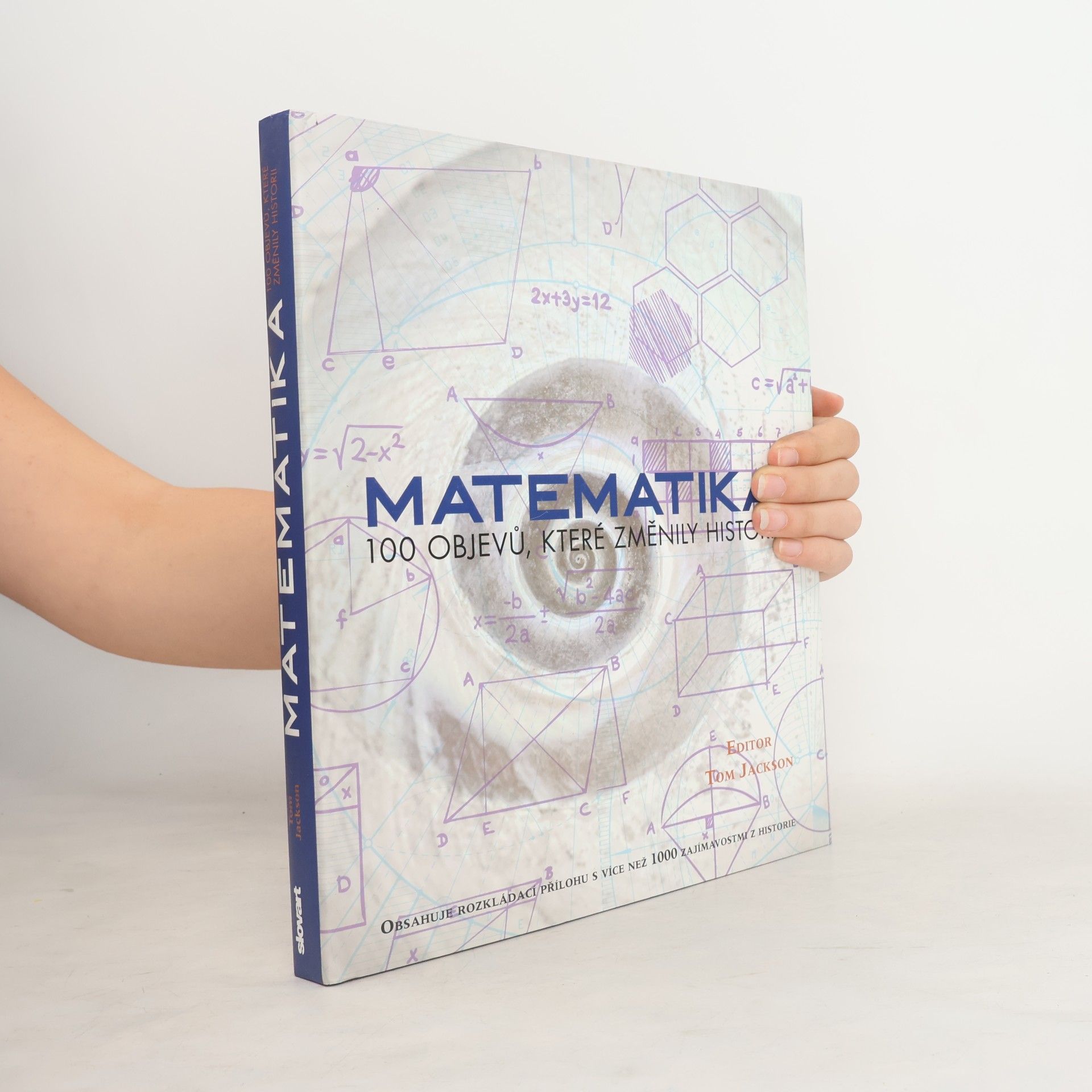 Kolektív autorov Matematika: 100 objevů, které změnily historii