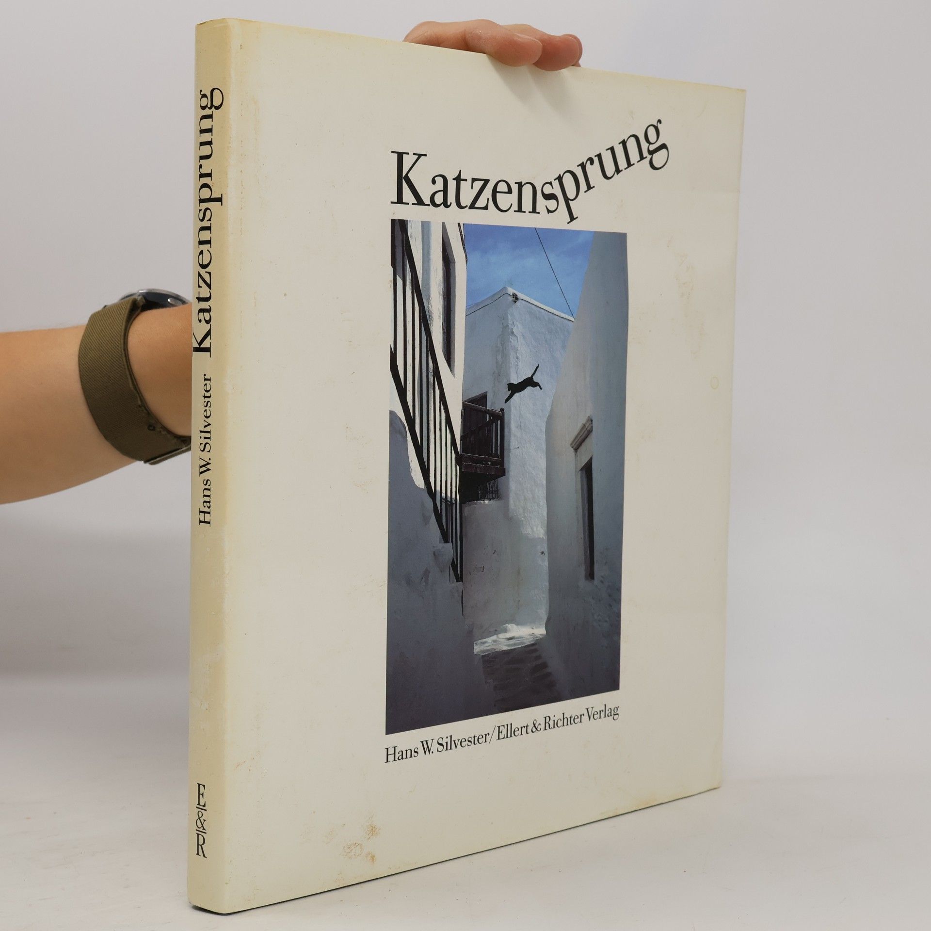 Hans Silvester Katzensprung