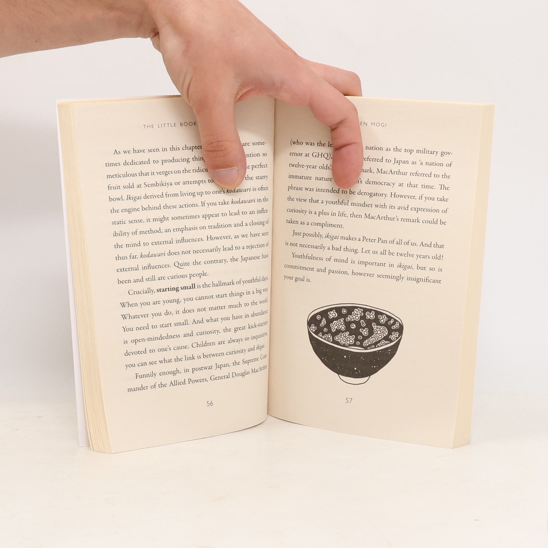 Ken Mogi The Little Book of Ikigai