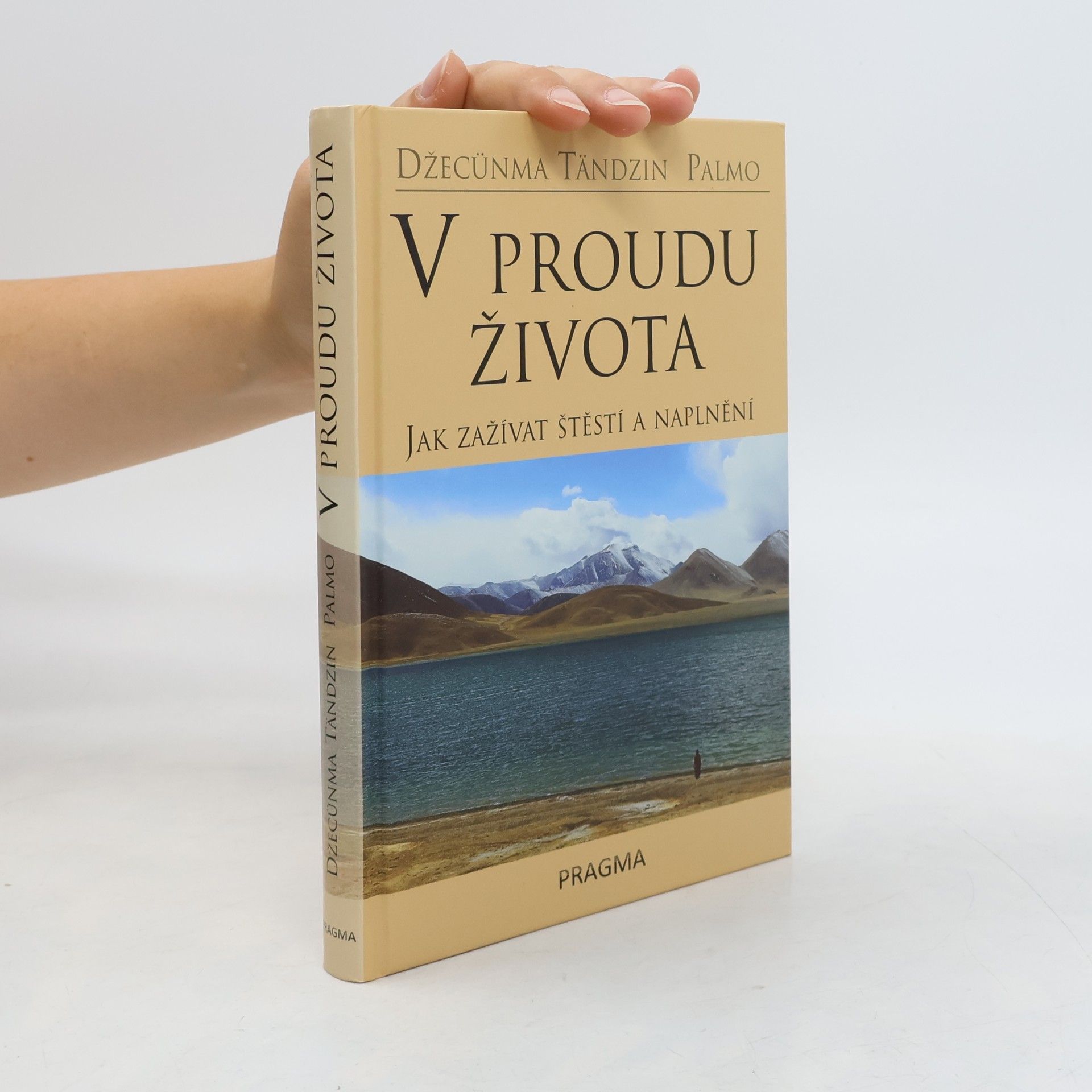 V proudu života. Jak zažívat štěstí a naplnění