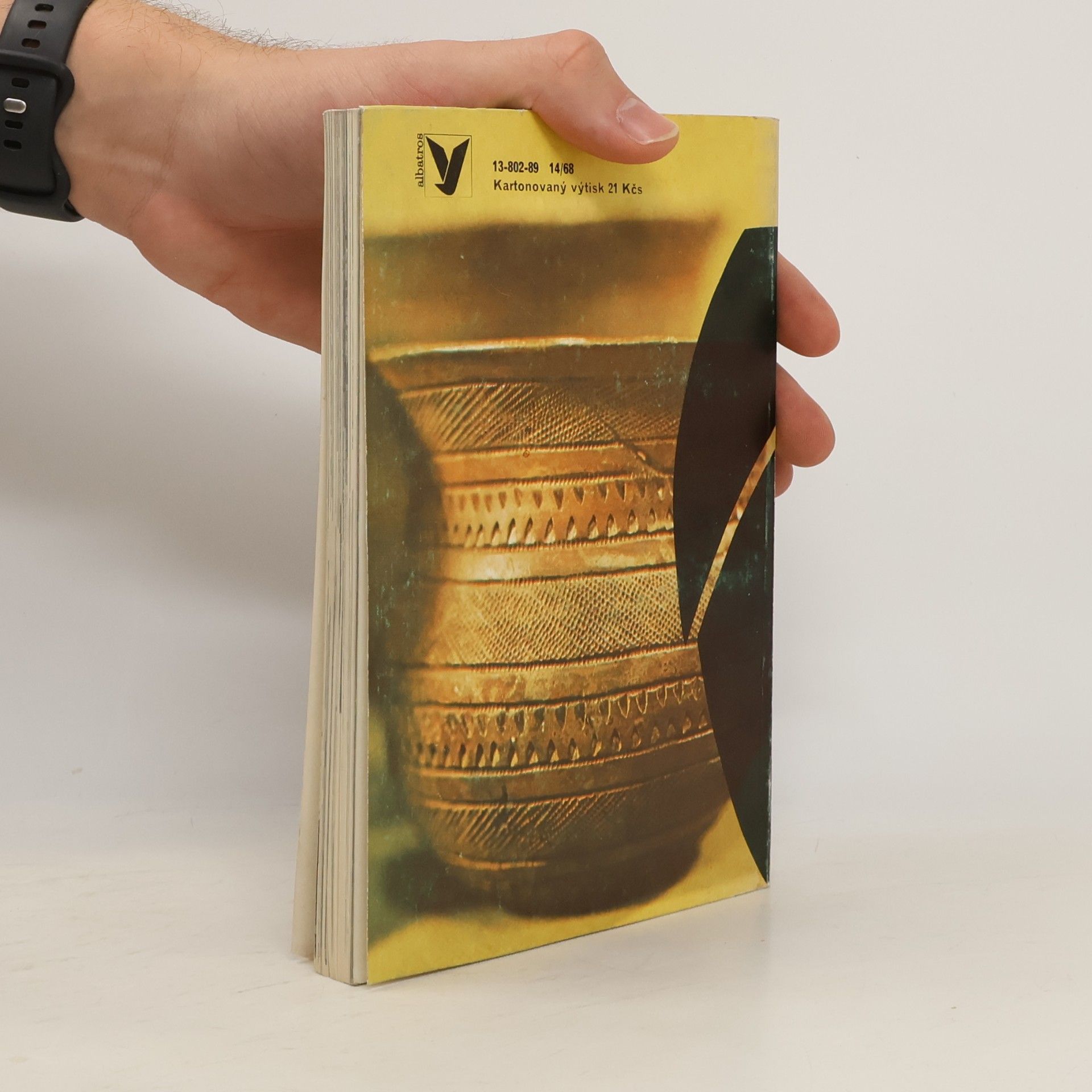 Josef Havel Kde bydlely Venuše: O řemesle zvaném archeologie