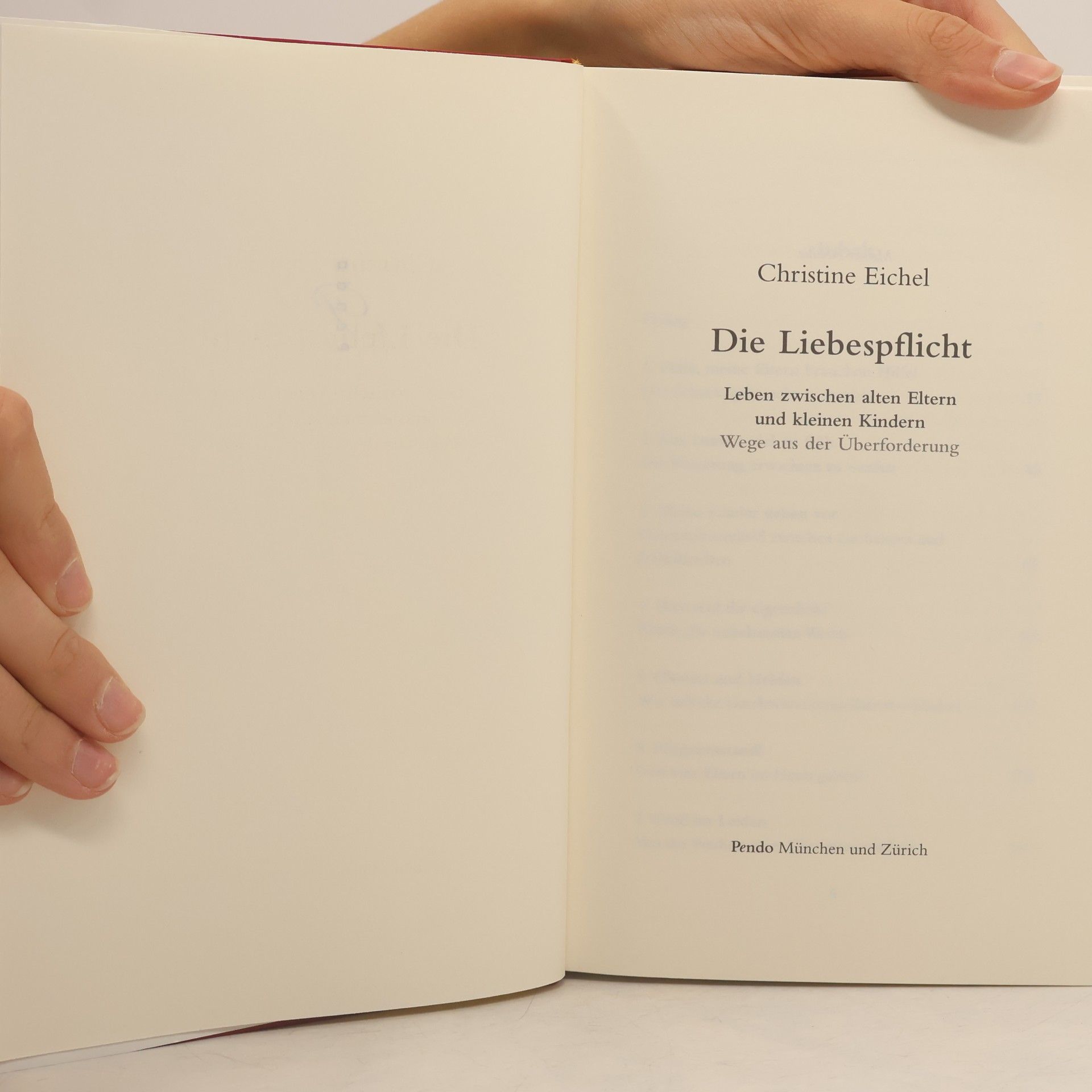 Christine Eichel Die Liebespflicht