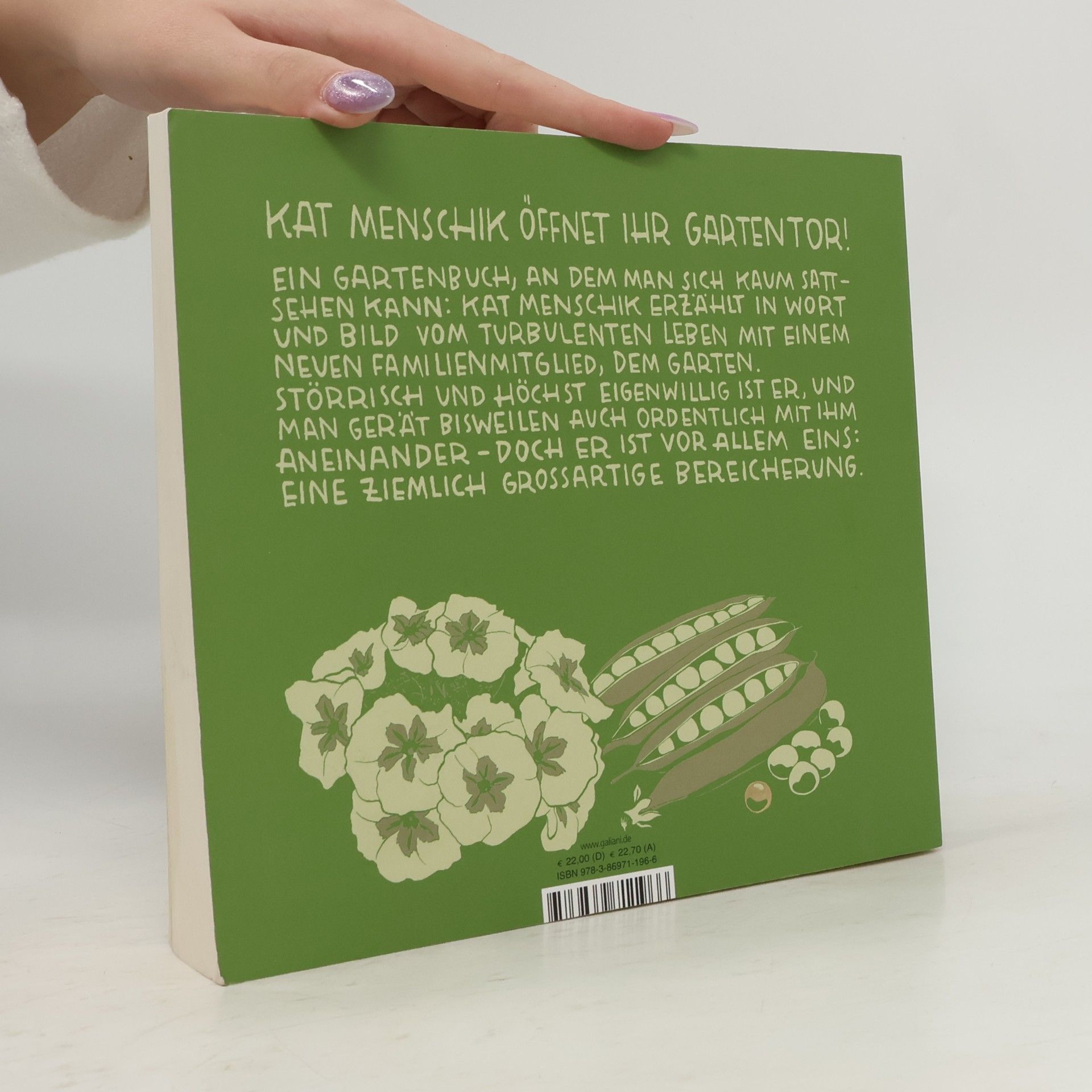 Kat Menschik Der goldene Grubber