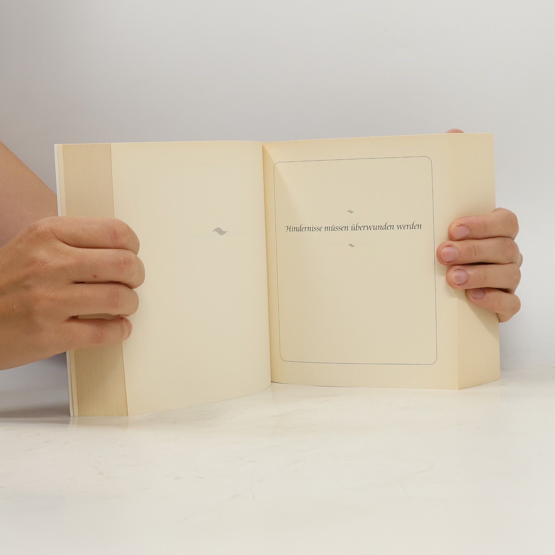 Carol Bolt Das Buch der Antworten