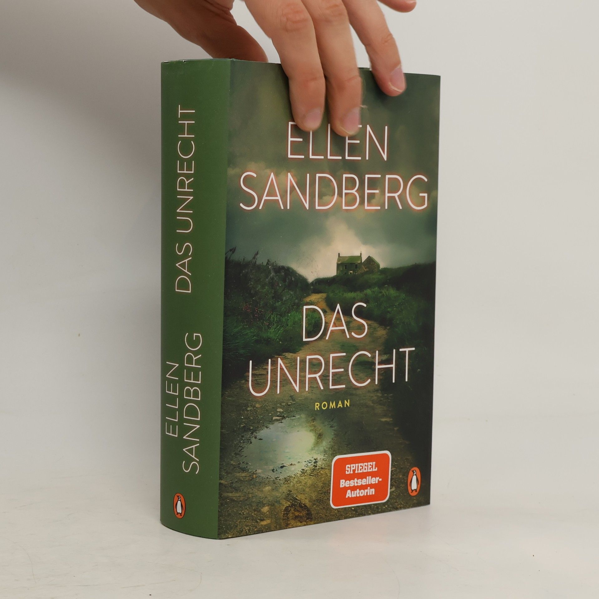 Ellen Sandberg Das Unrecht