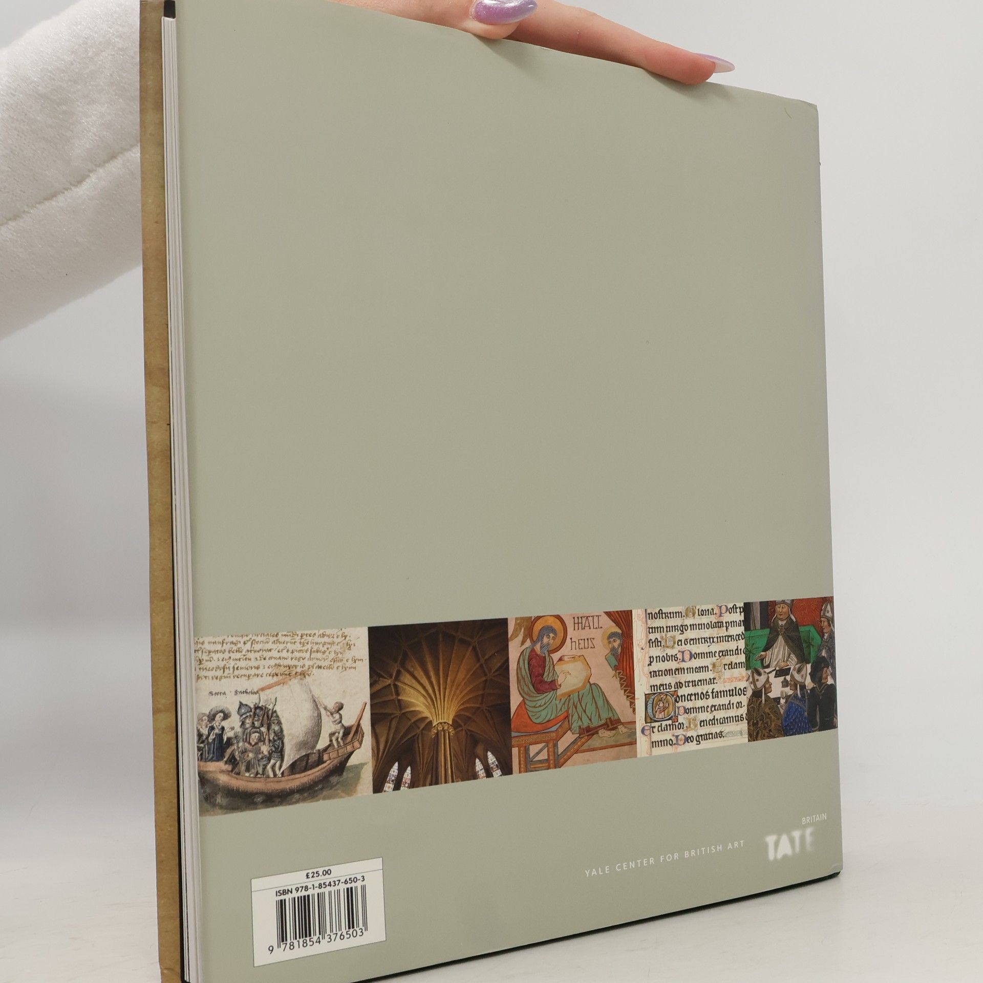 Tim Ayers A History of British Art