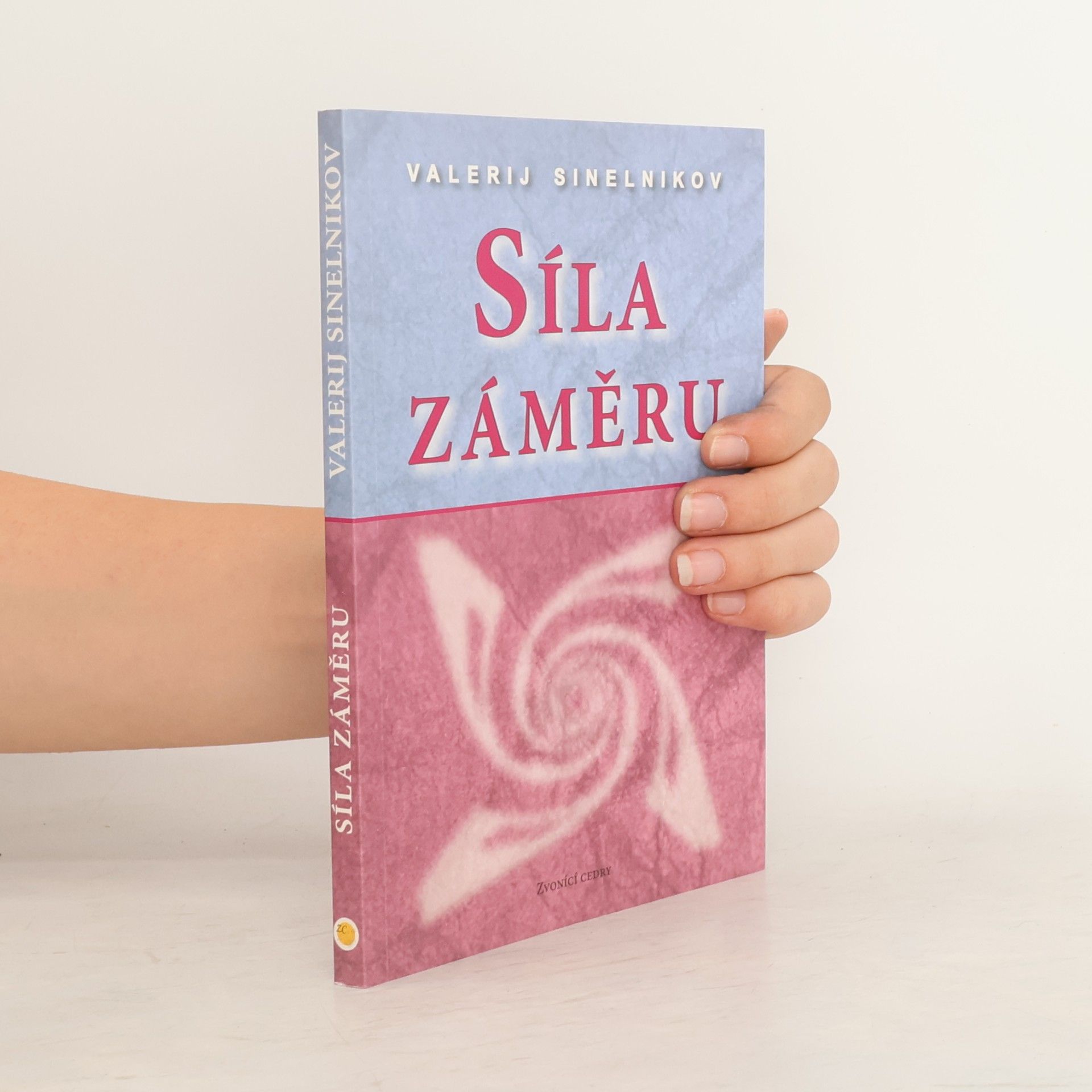 Síla záměru