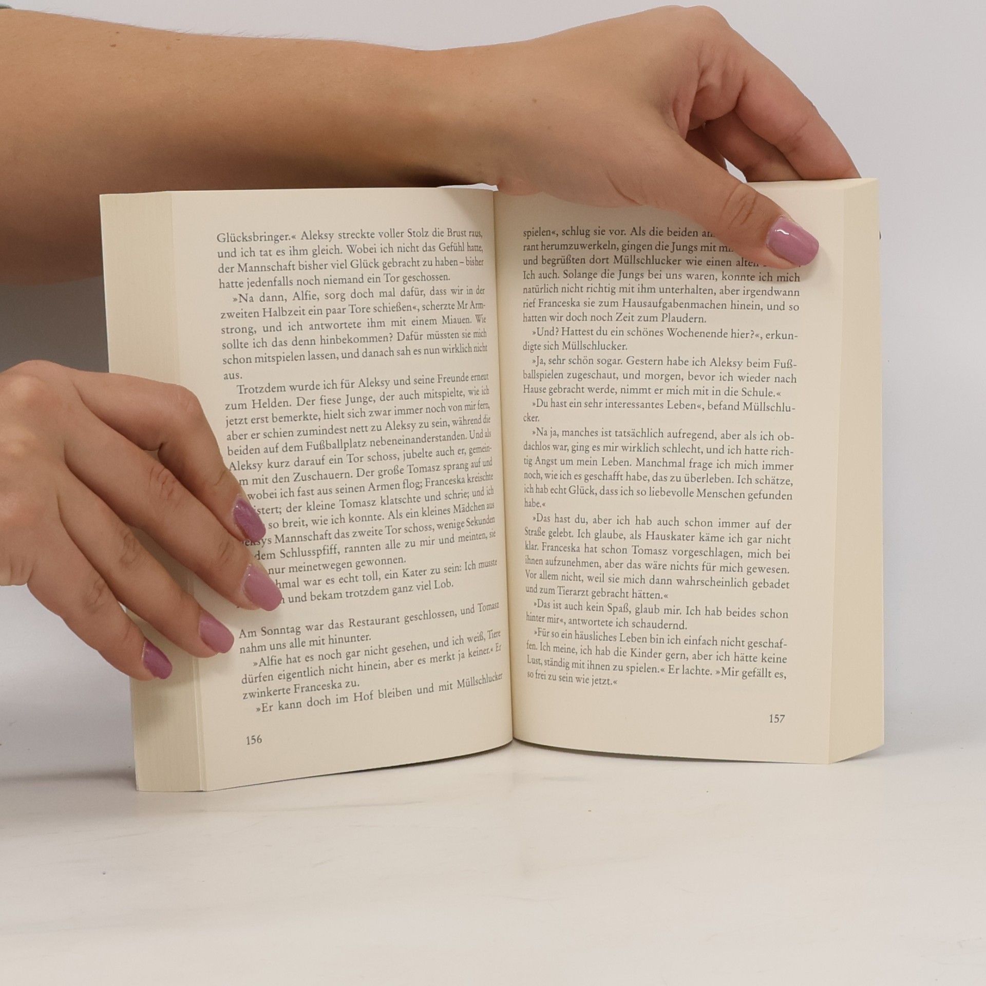 Rachel Wells Alfie - Retter auf Samtpfoten