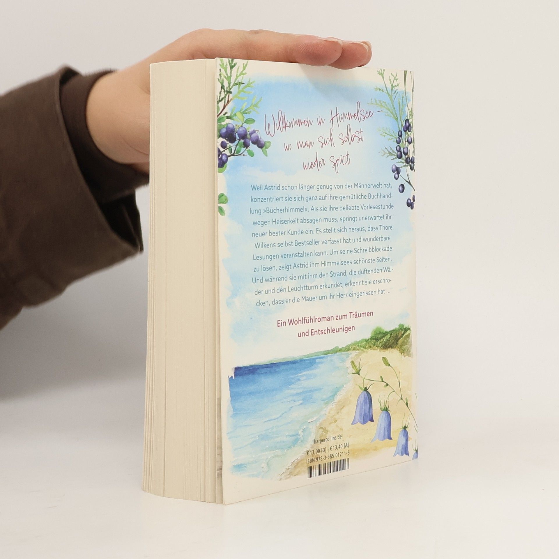 Tanja Janz Himmelsee – Wo der Wind von Liebe erzählt (Himmelsee 2): Roman | Wohlfühllektüre voller Atmosphäre und Entspannung von der Bestsellerautorin | Perfekt für den Sommerurlaub und Fans von Patricia Koelle