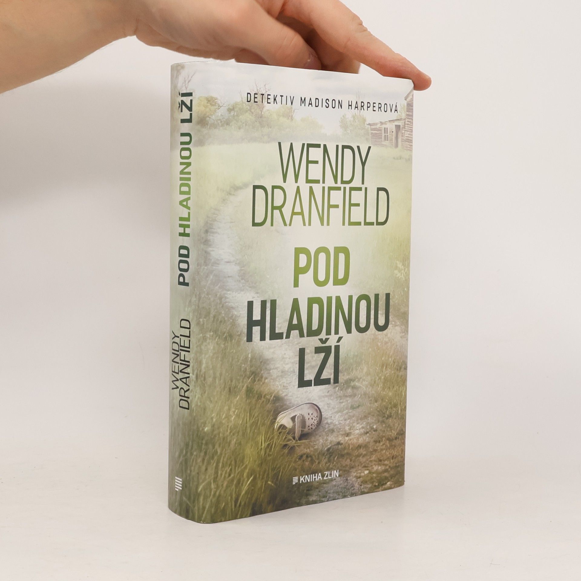 Wendy Dranfield Pod hladinou lží