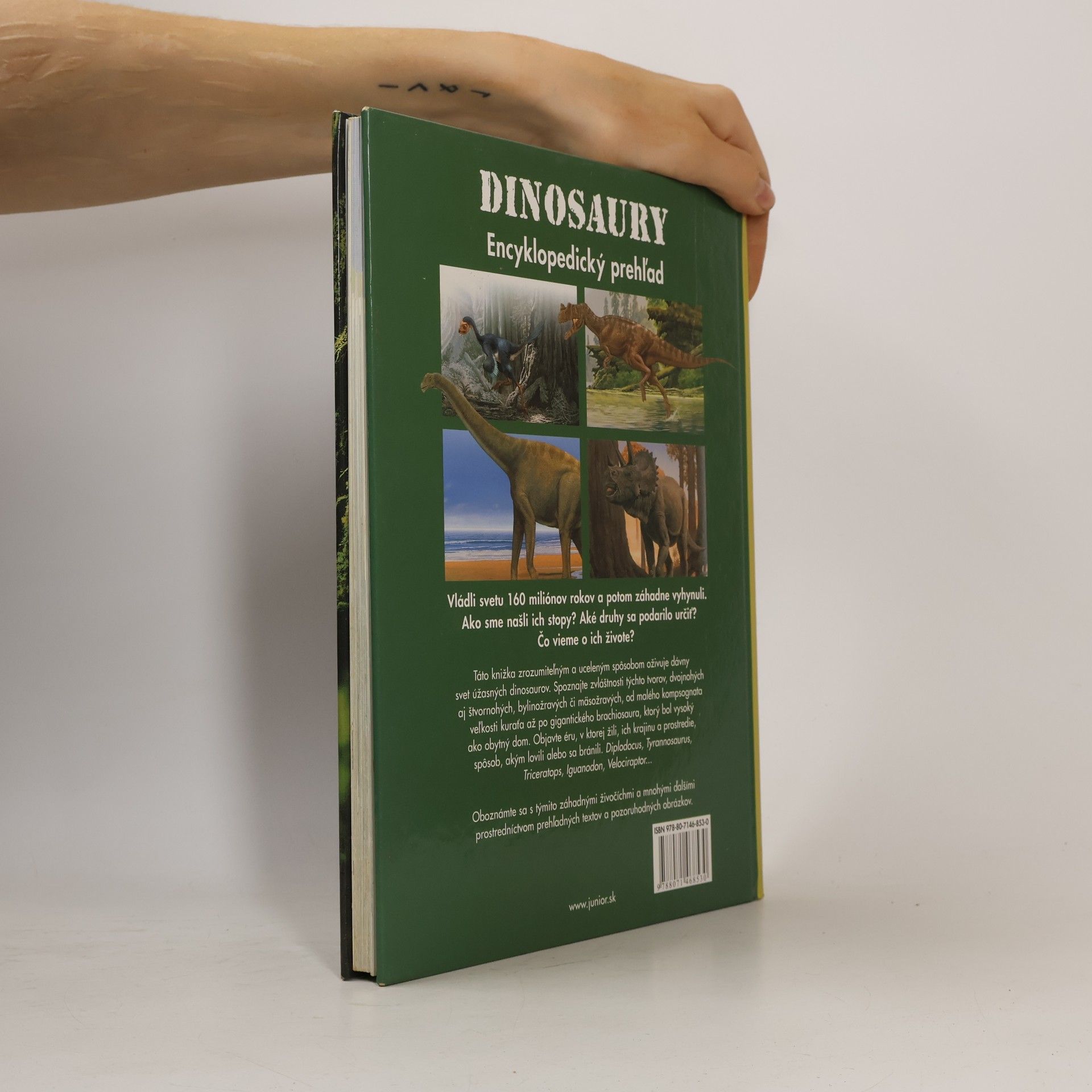 Raúl Martín Dinosaury : Encyklopedický prehľad