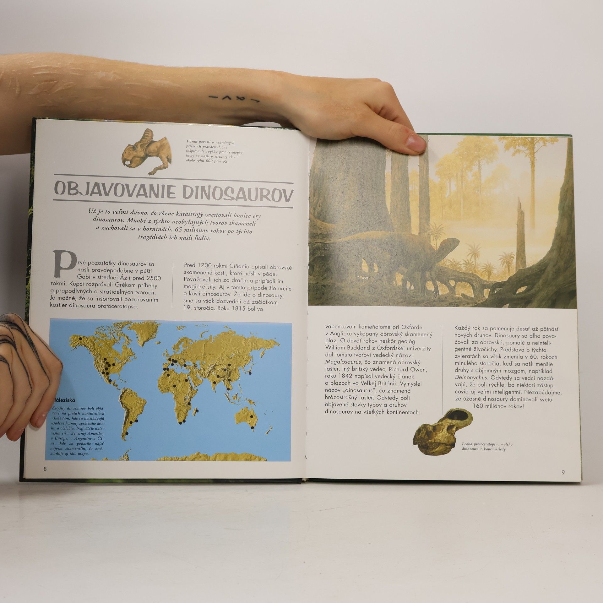 Raúl Martín Dinosaury : Encyklopedický prehľad