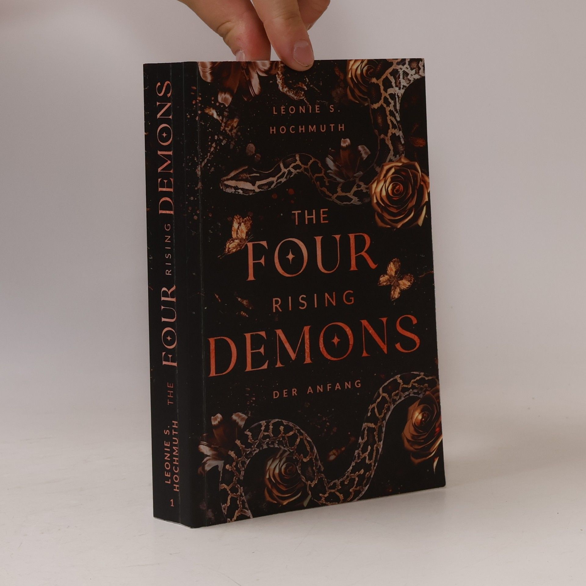 Leonie S. Hochmuth Rising-Demons-Reihe: The Four Rising Demons