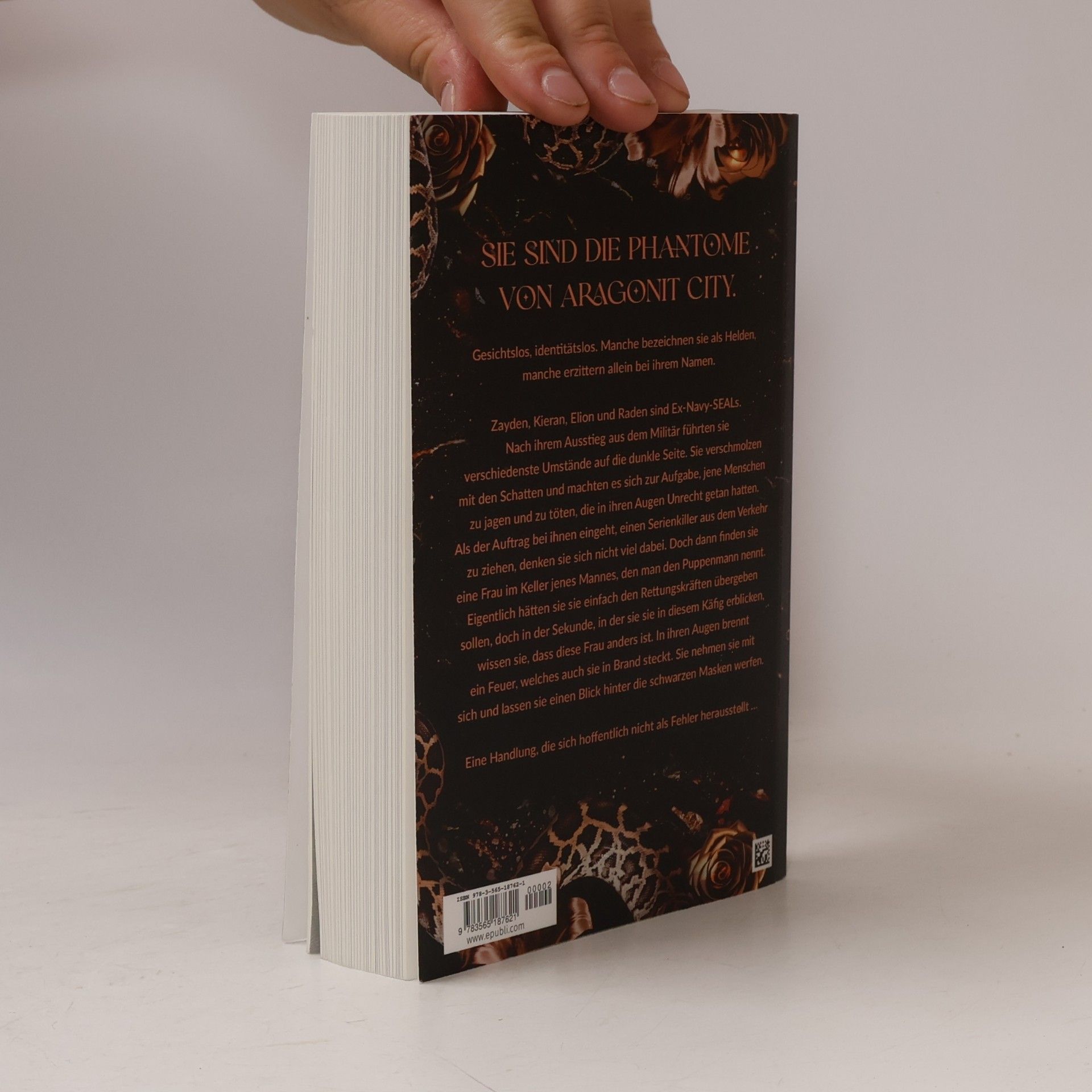 Leonie S. Hochmuth Rising-Demons-Reihe: The Four Rising Demons
