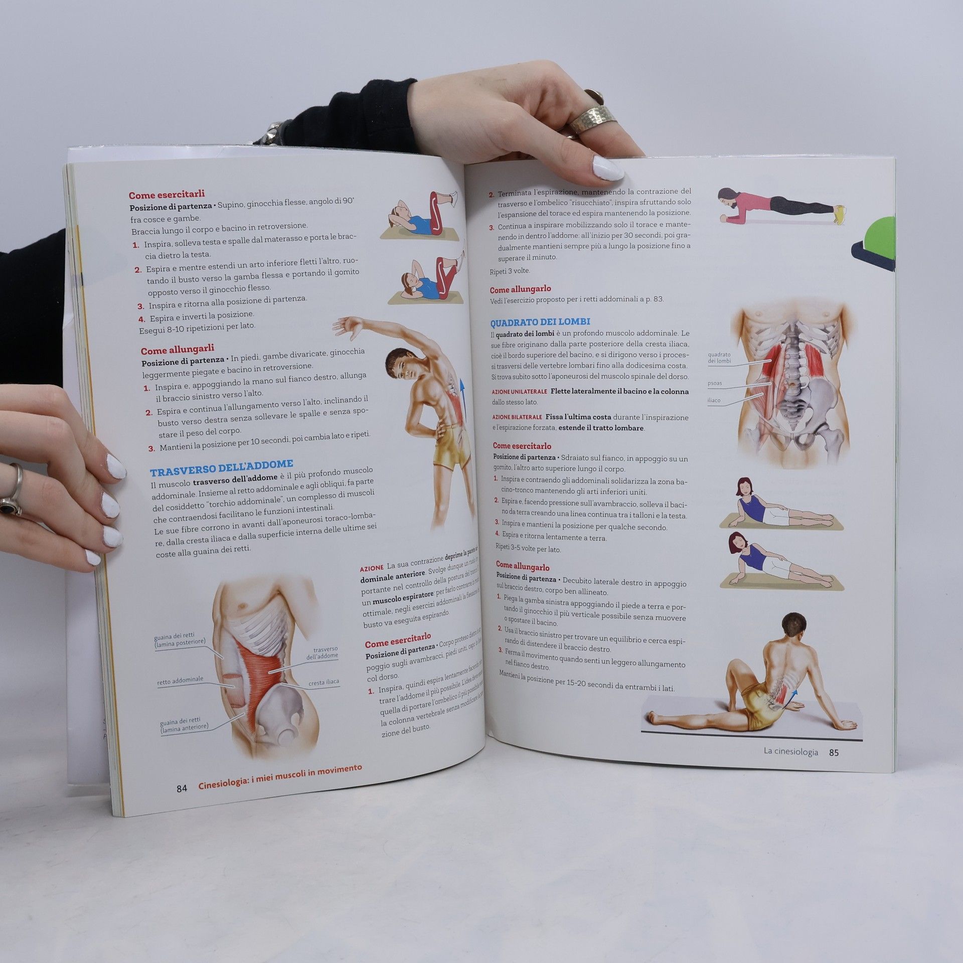 Elisabetta Chiesa Attivi! Sport e sane abitudini. Con Magazine. Per le Scuole superiori. Con e-book. Con espansione online