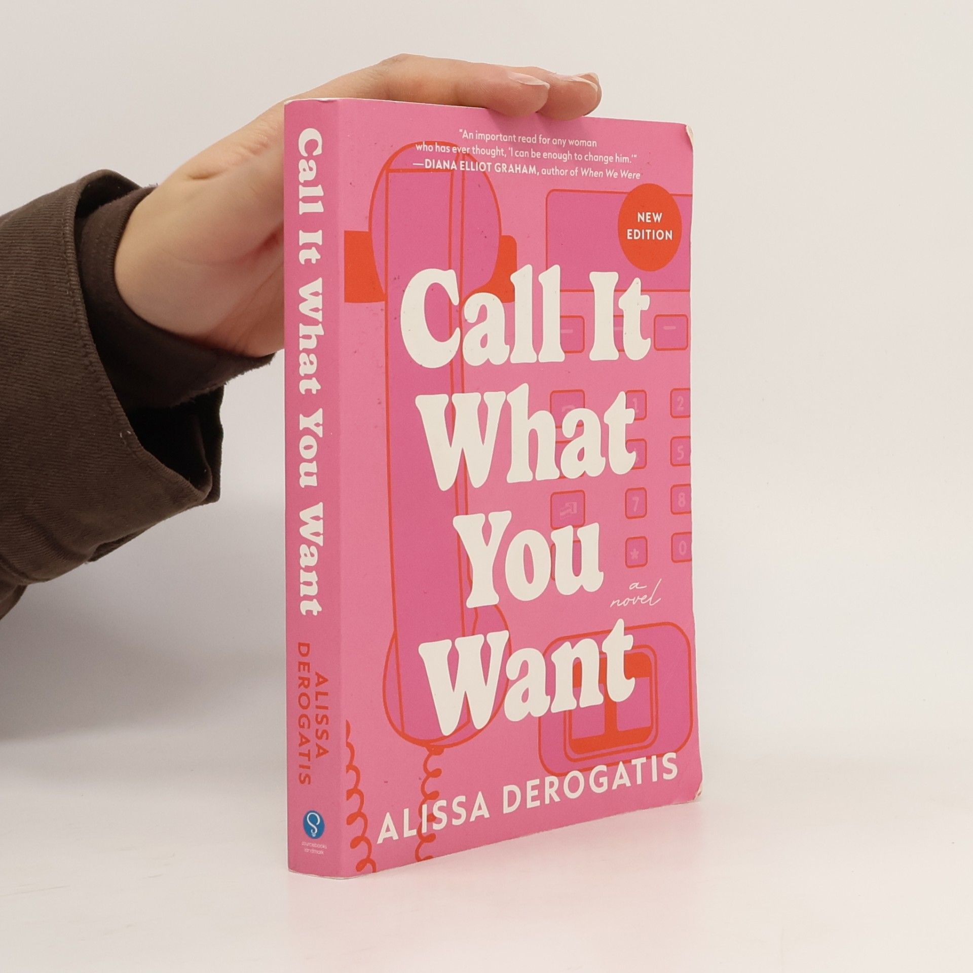 DeRogatis Alissa Call It What You Want: A Novel