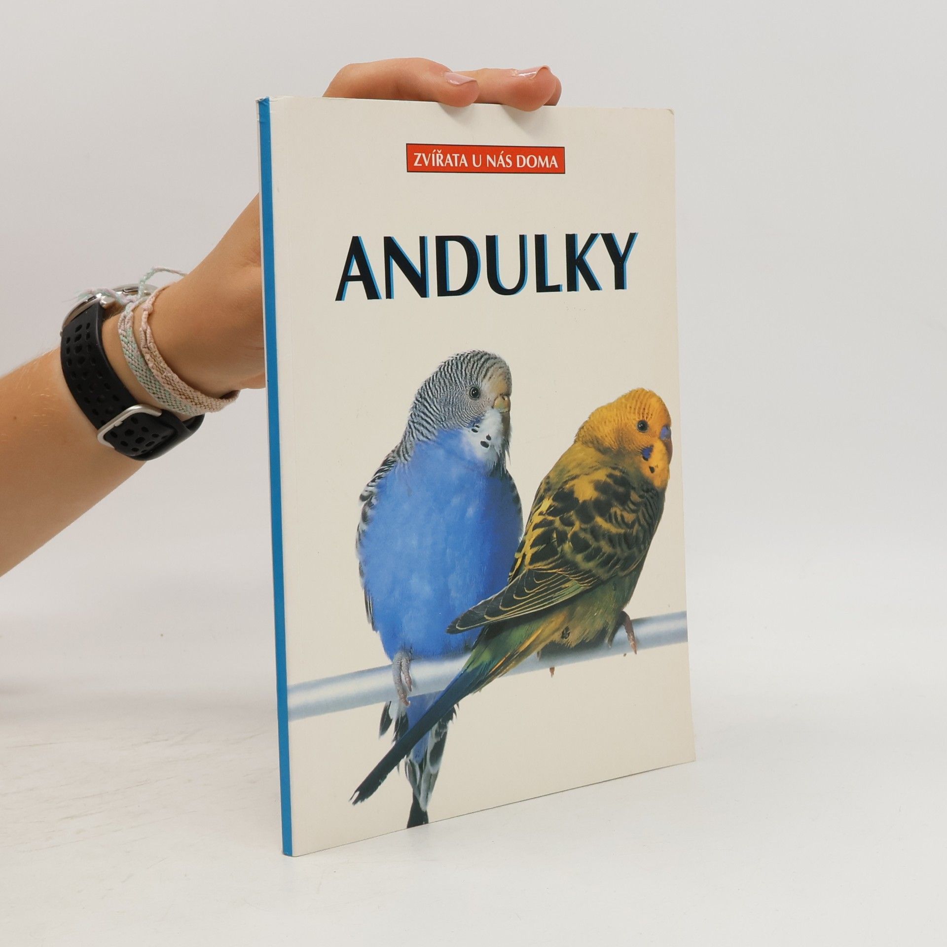 Autorenkollektiv Andulky