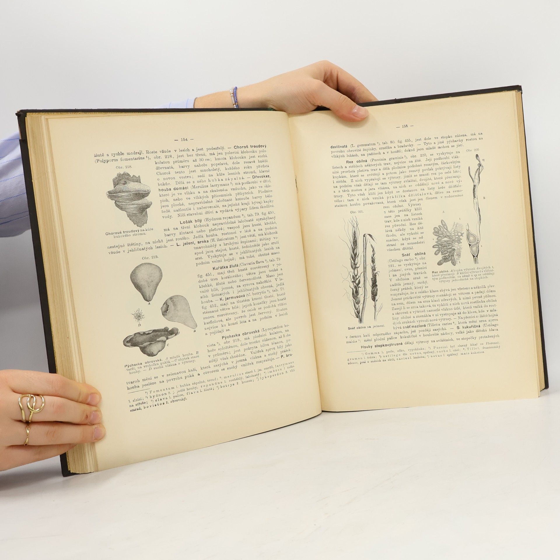 Jan John Přírodopisný atlas rostlin