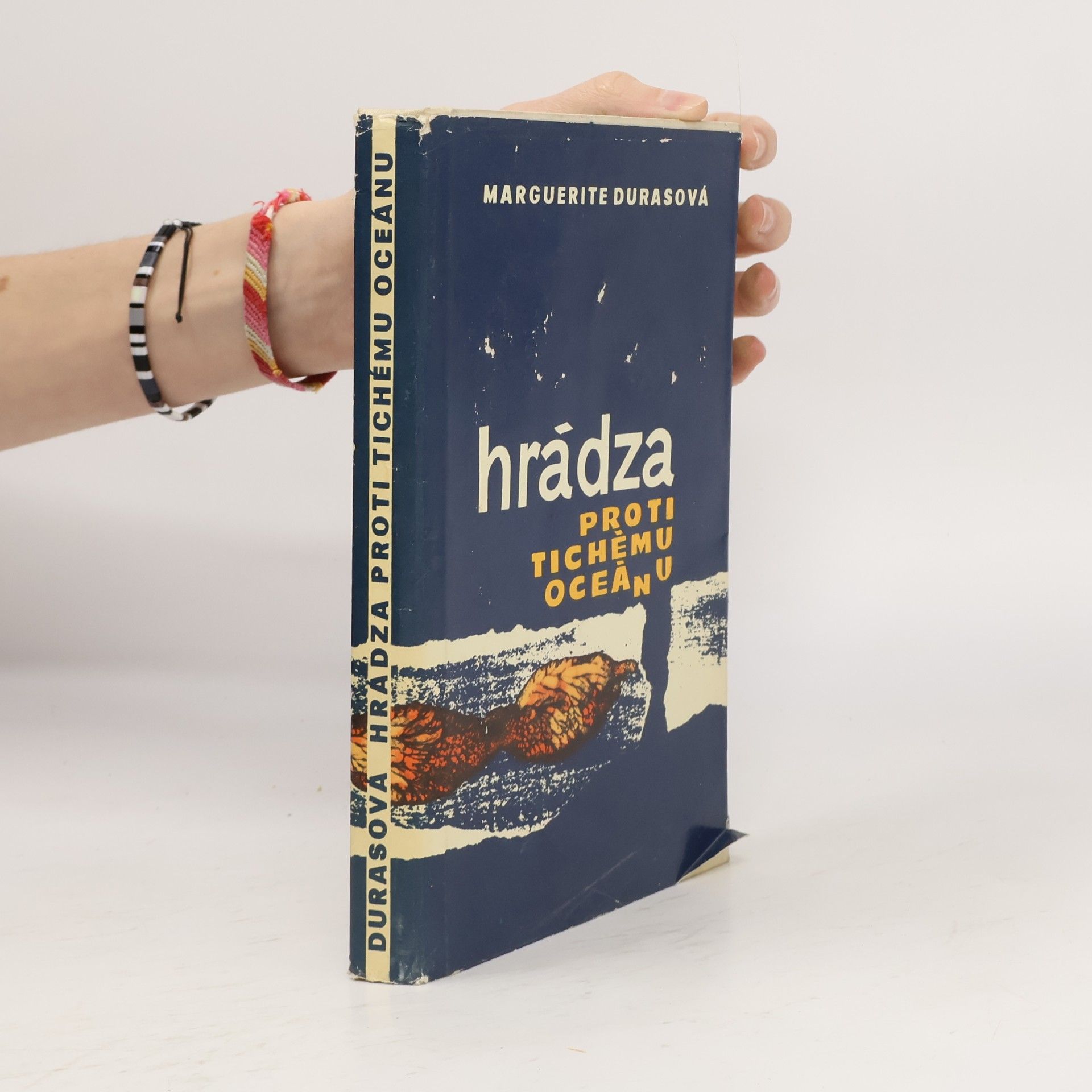 Marguerite Duras Hrádza proti Tichému oceánu