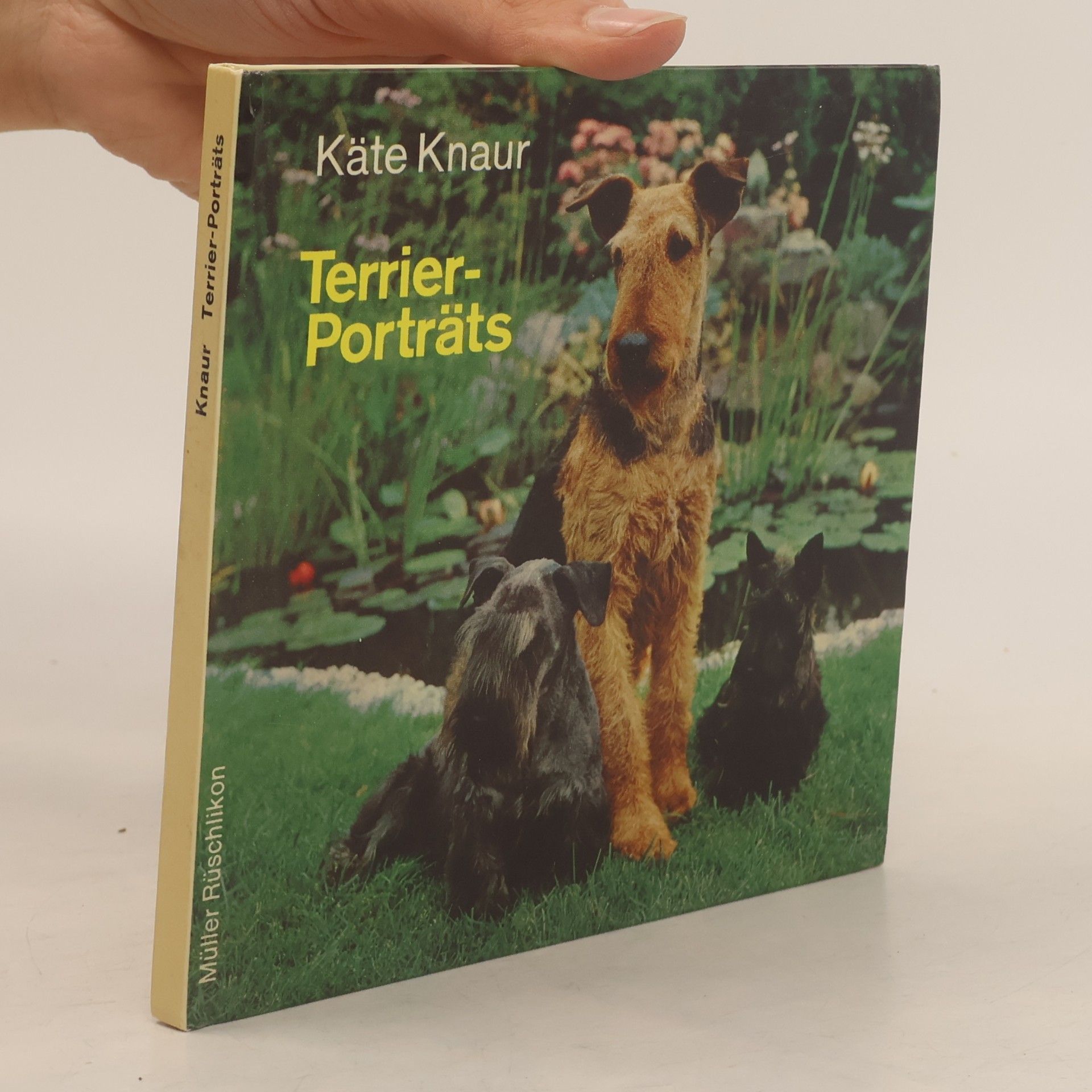 Kate Knaur Terrier-Porträts
