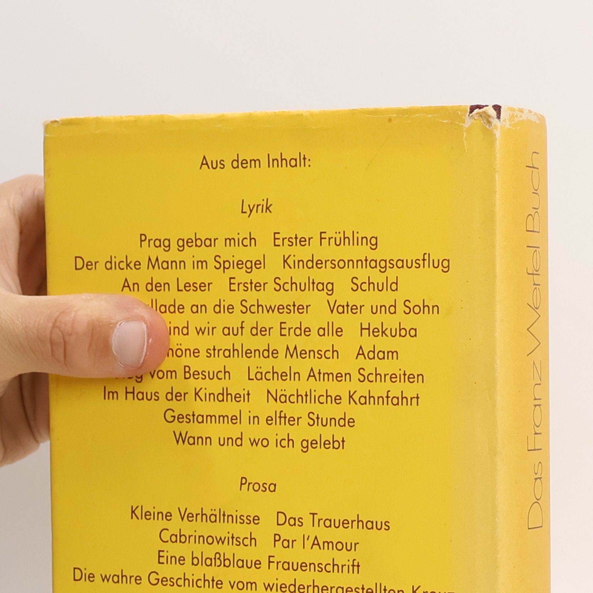 Franz Werfel Das Franz Werfel Buch