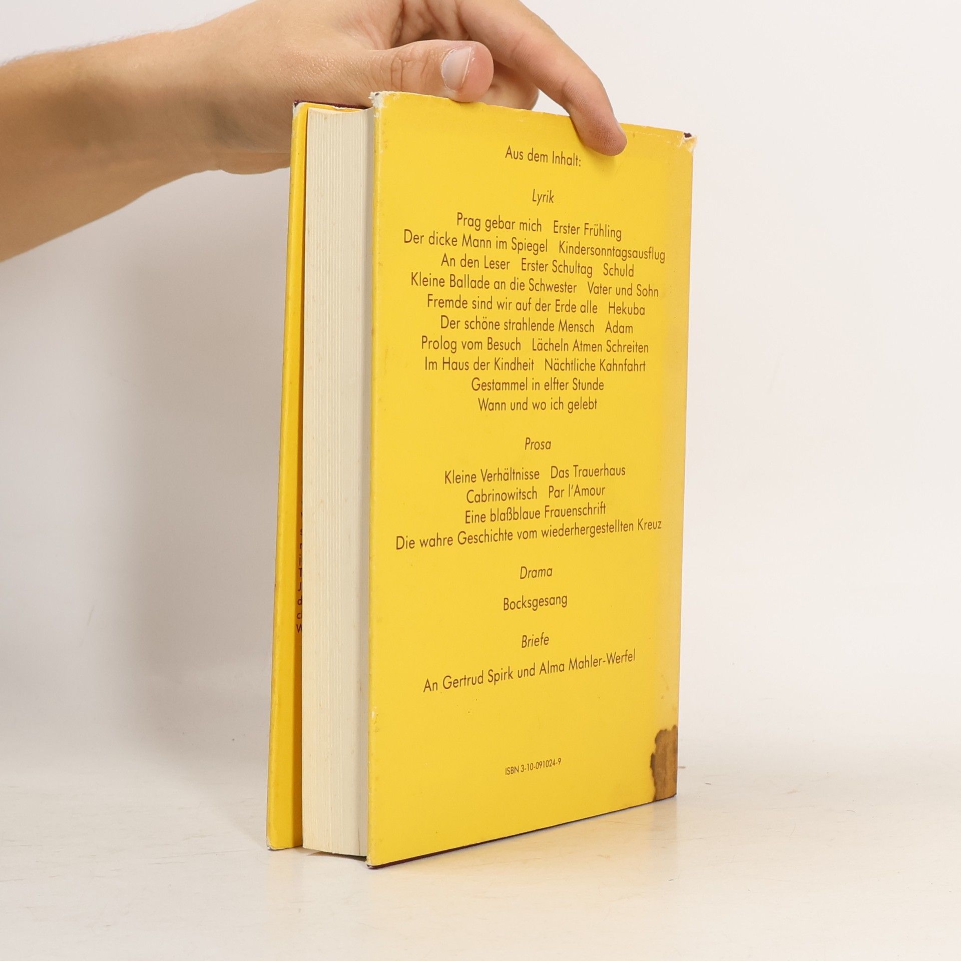 Franz Werfel Das Franz Werfel Buch
