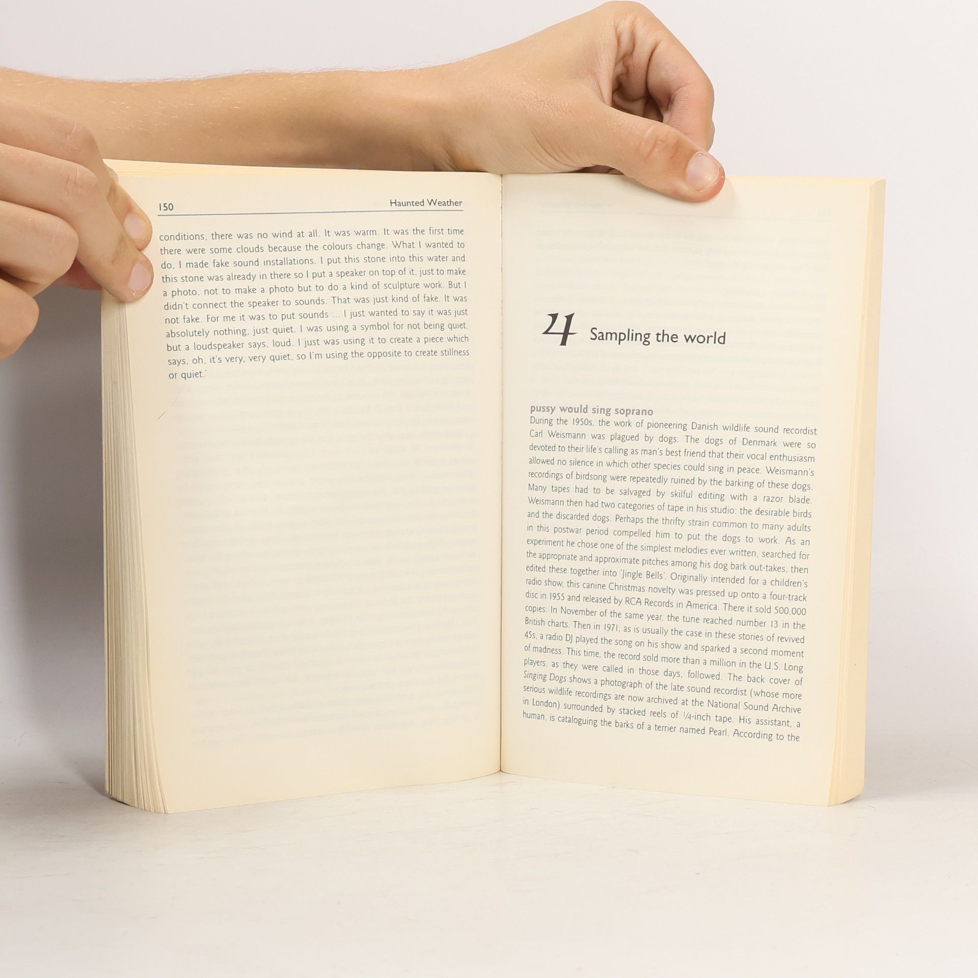David Toop Haunted Weather