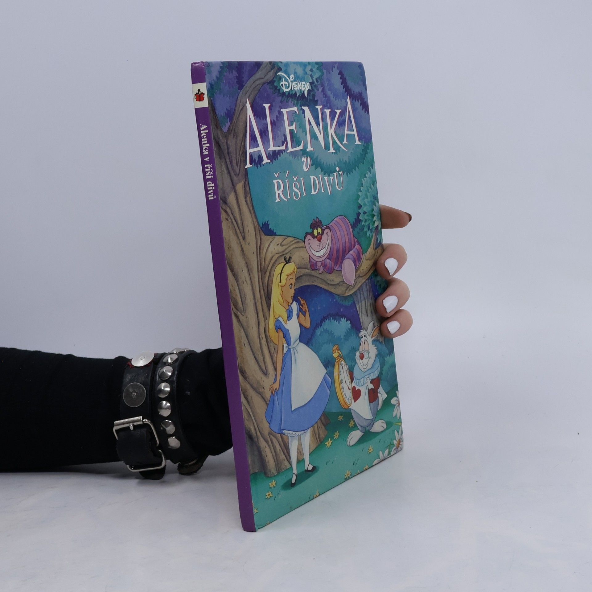 Various authors Alenka v říši divů