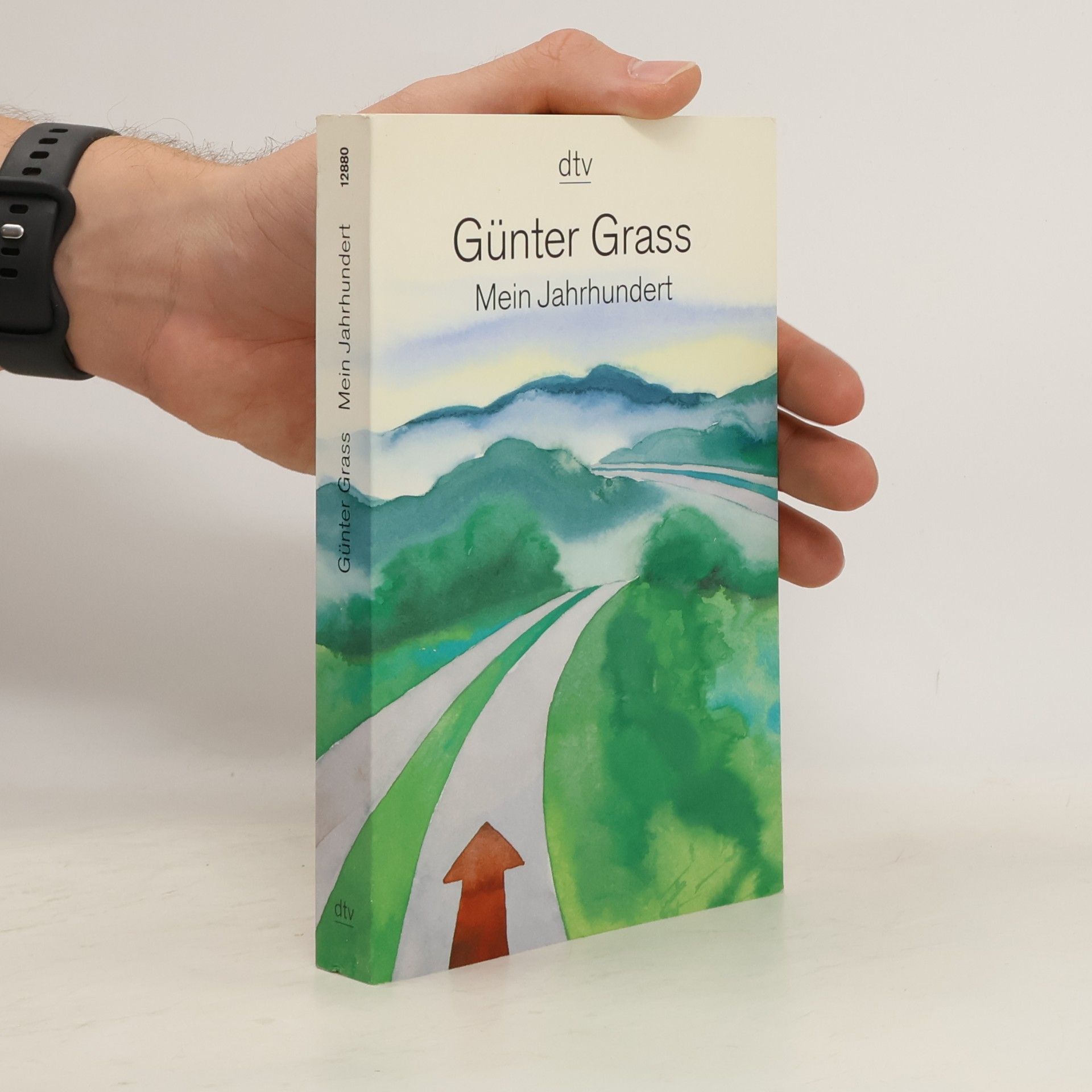 Günter Grass Mein Jahrhundert