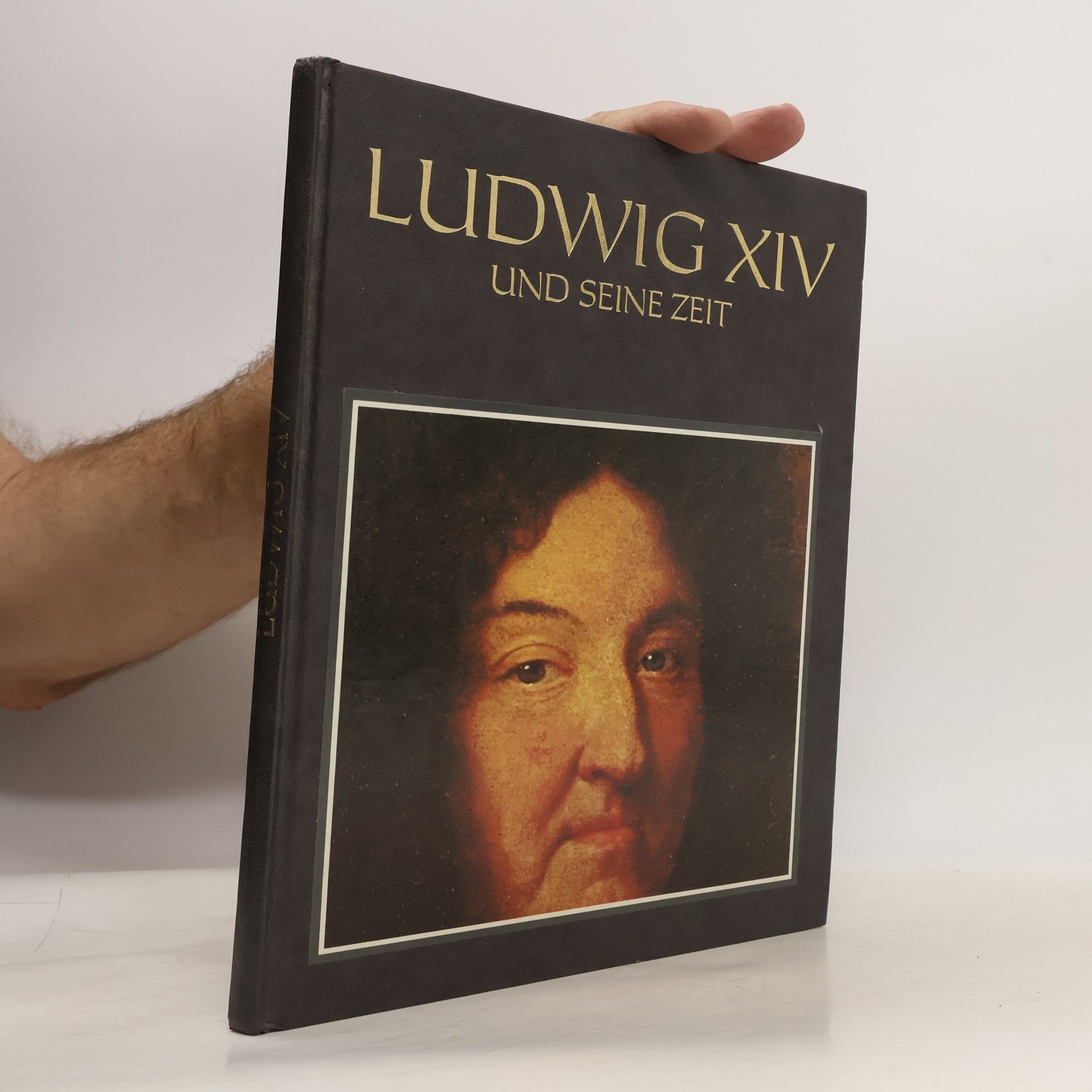 Claudio Menegazzi Ludwig XIV. und seine Zeit