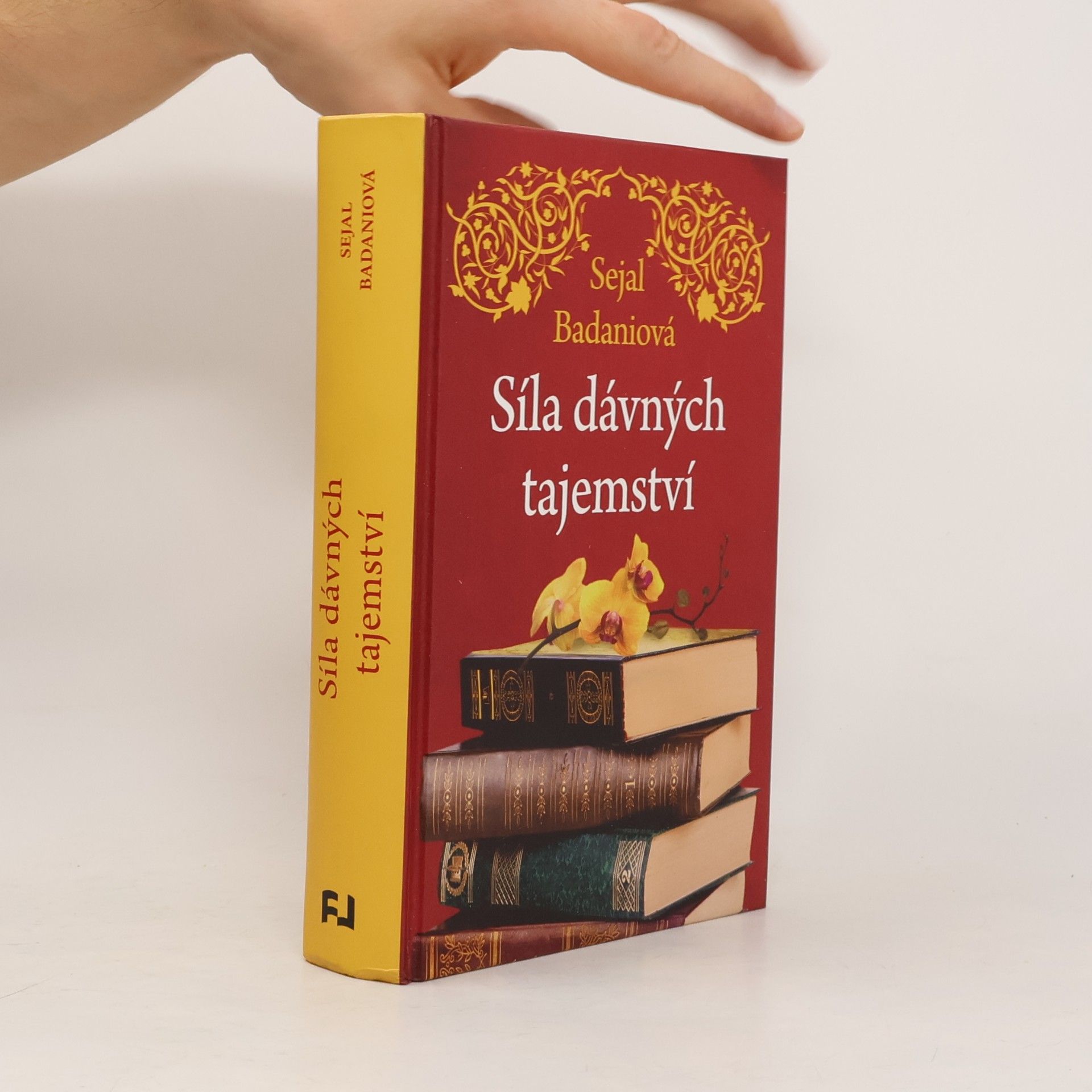 Sejal Badani Síla dávných tajemství