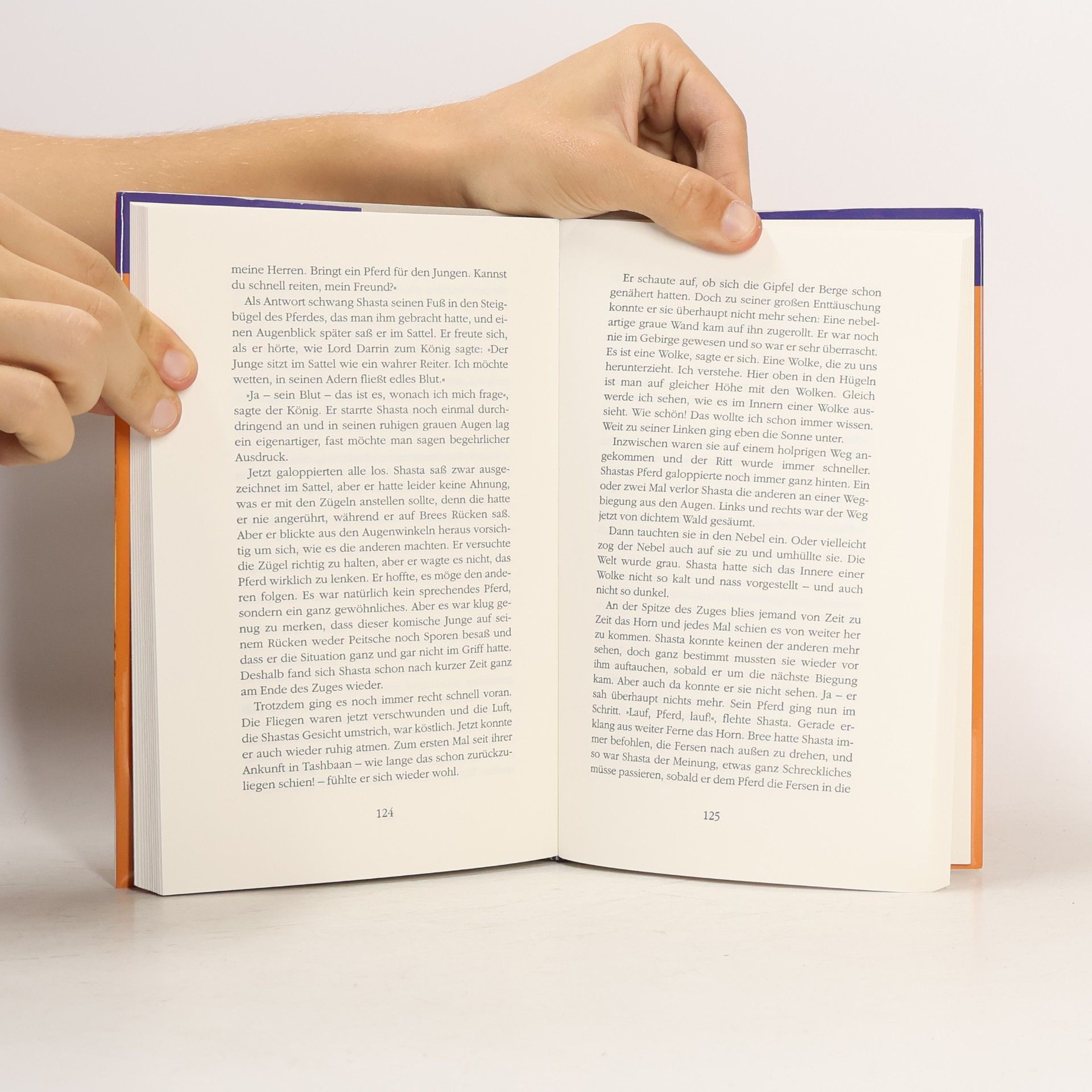 C. S. Lewis Der Ritt nach Narnia