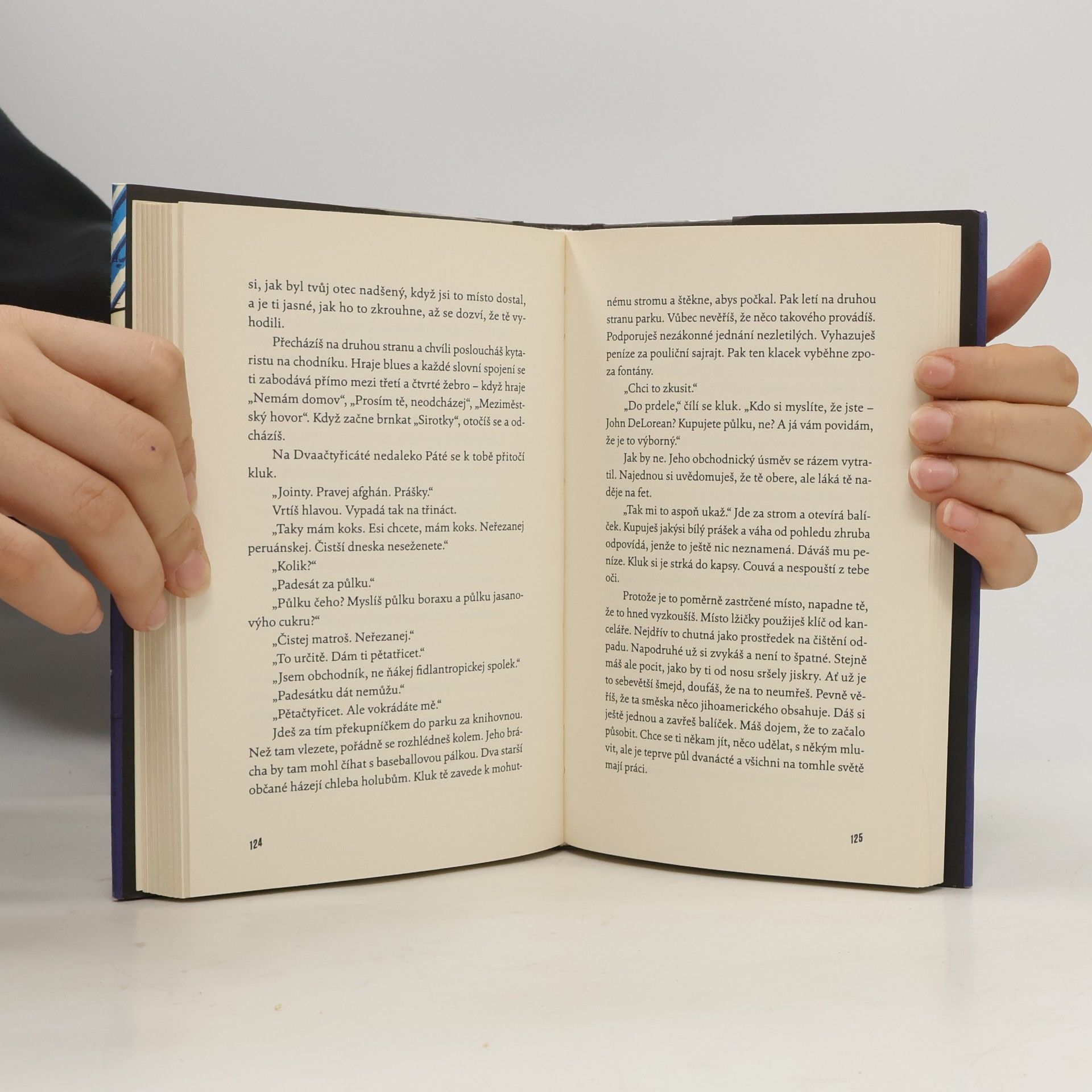 Jay McInerney Zářivá světla velkoměsta