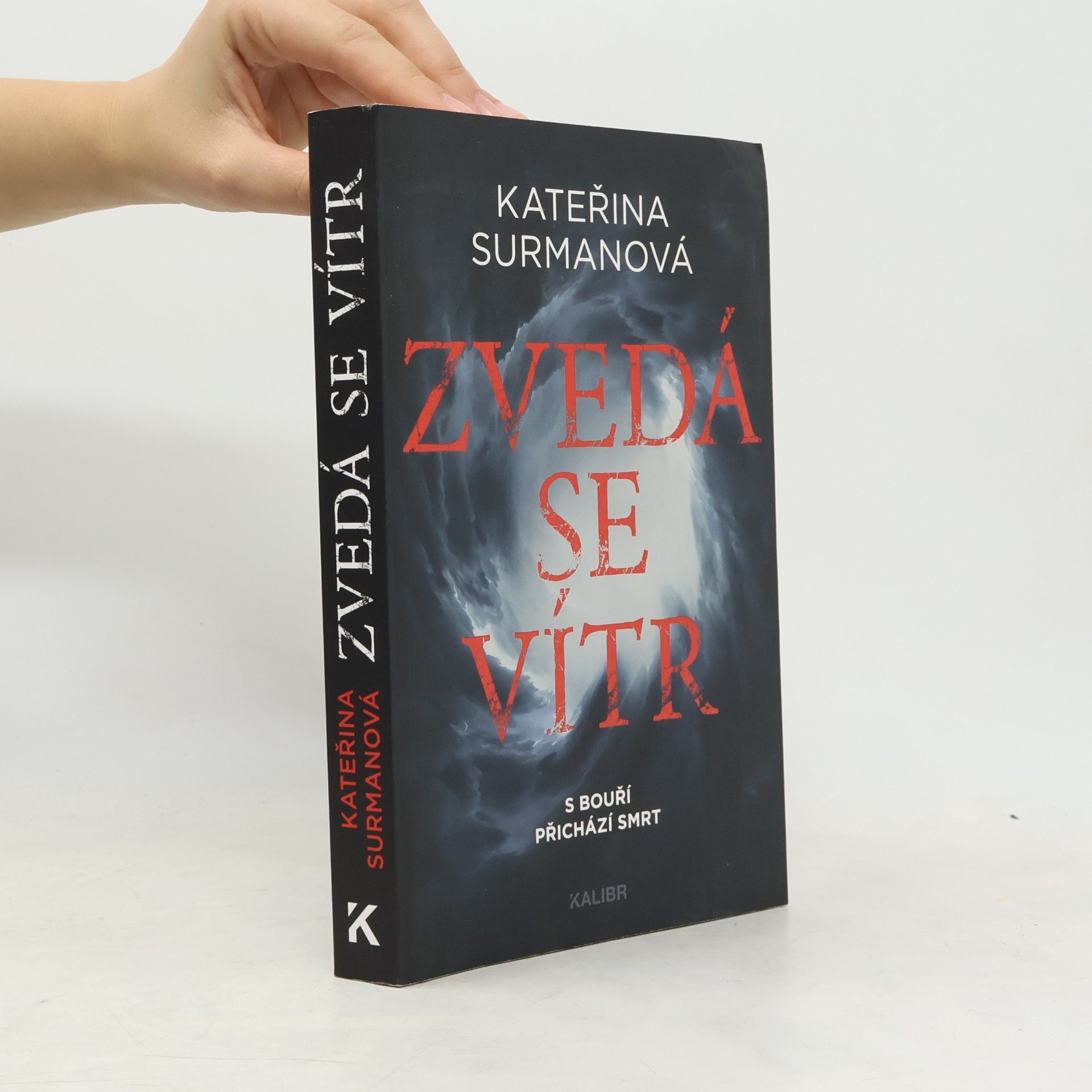 Kateřina Surmanová Zvedá se vítr