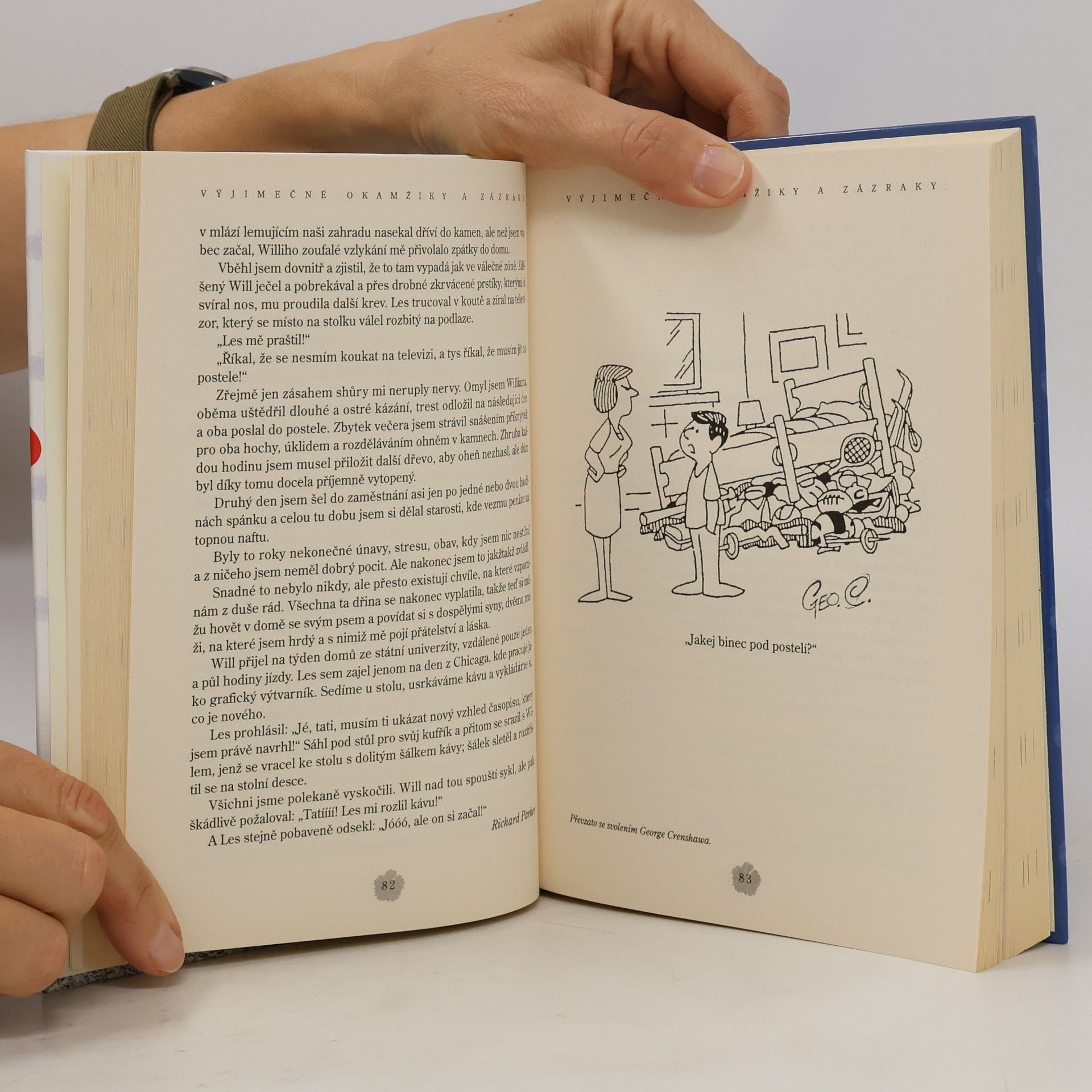 Jack Canfield Slepičí polévka pro duši osamělého rodiče