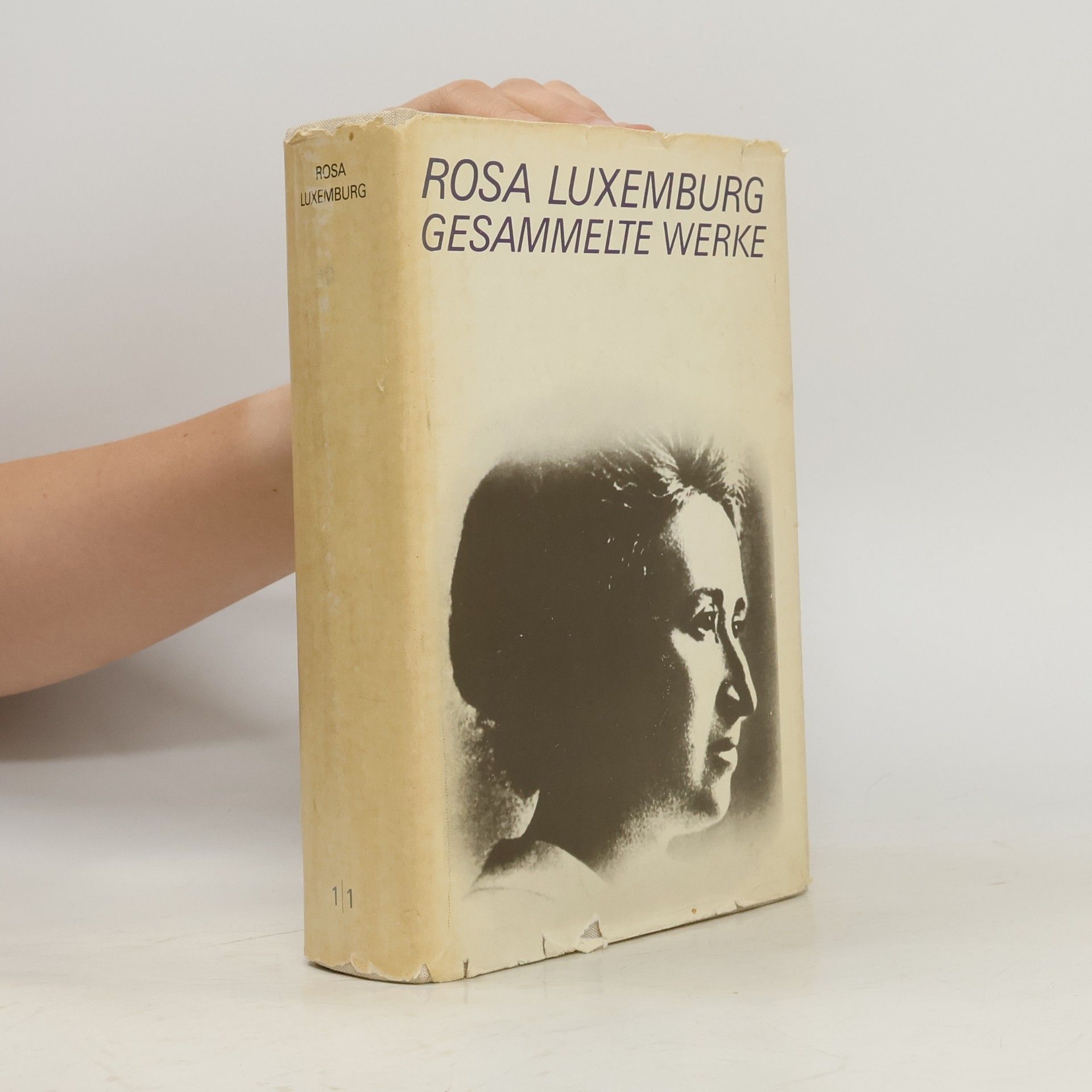 Rosa Luxemburg Gesammelte Werke
