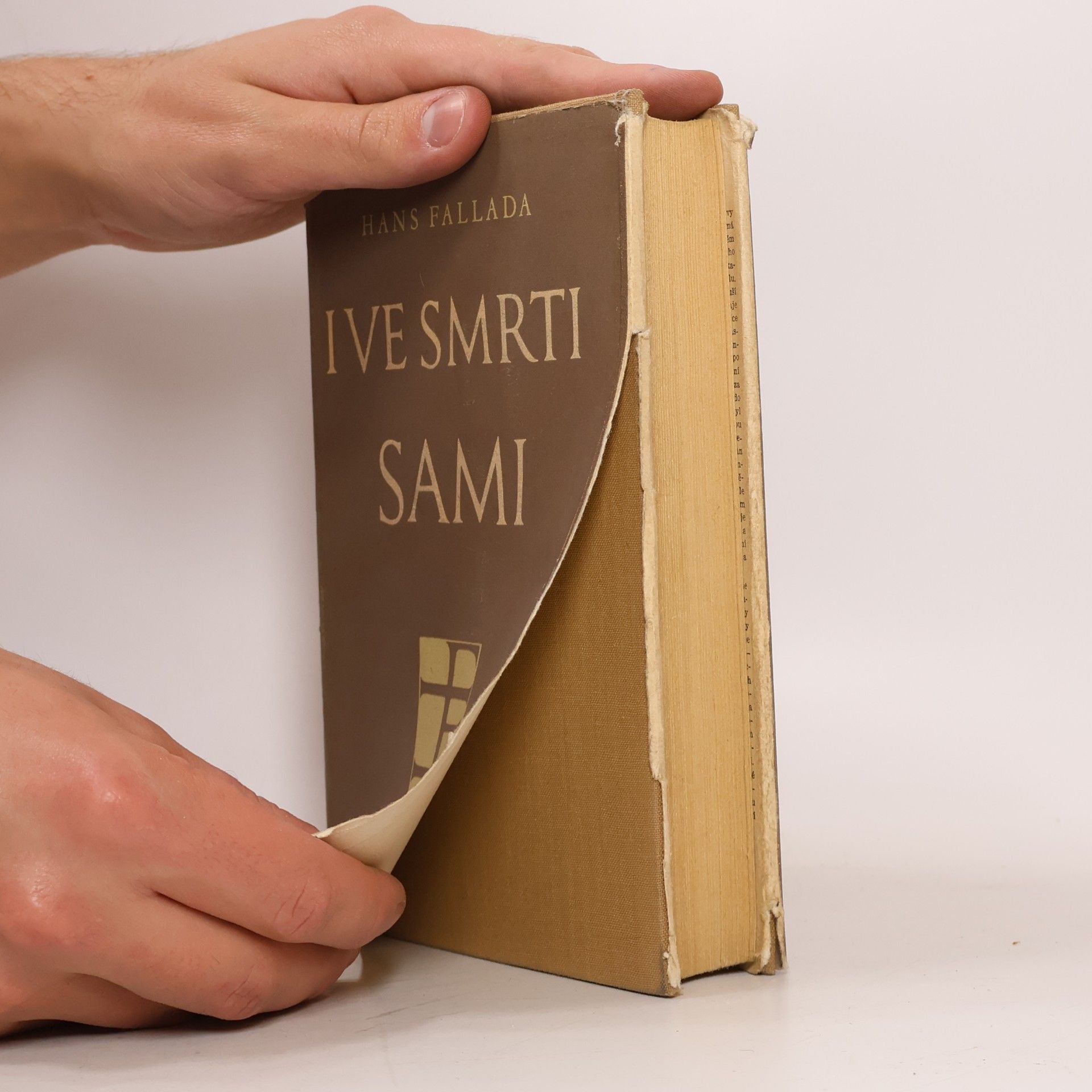 Hans Fallada I ve smrti sami