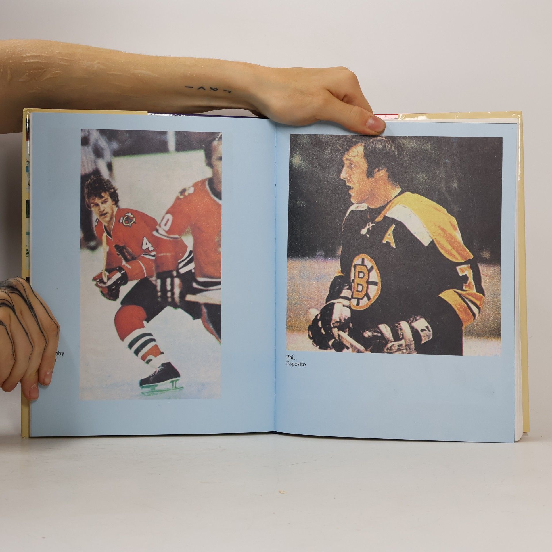 Jiří Stránský Historie National Hockey League: 1917-1993
