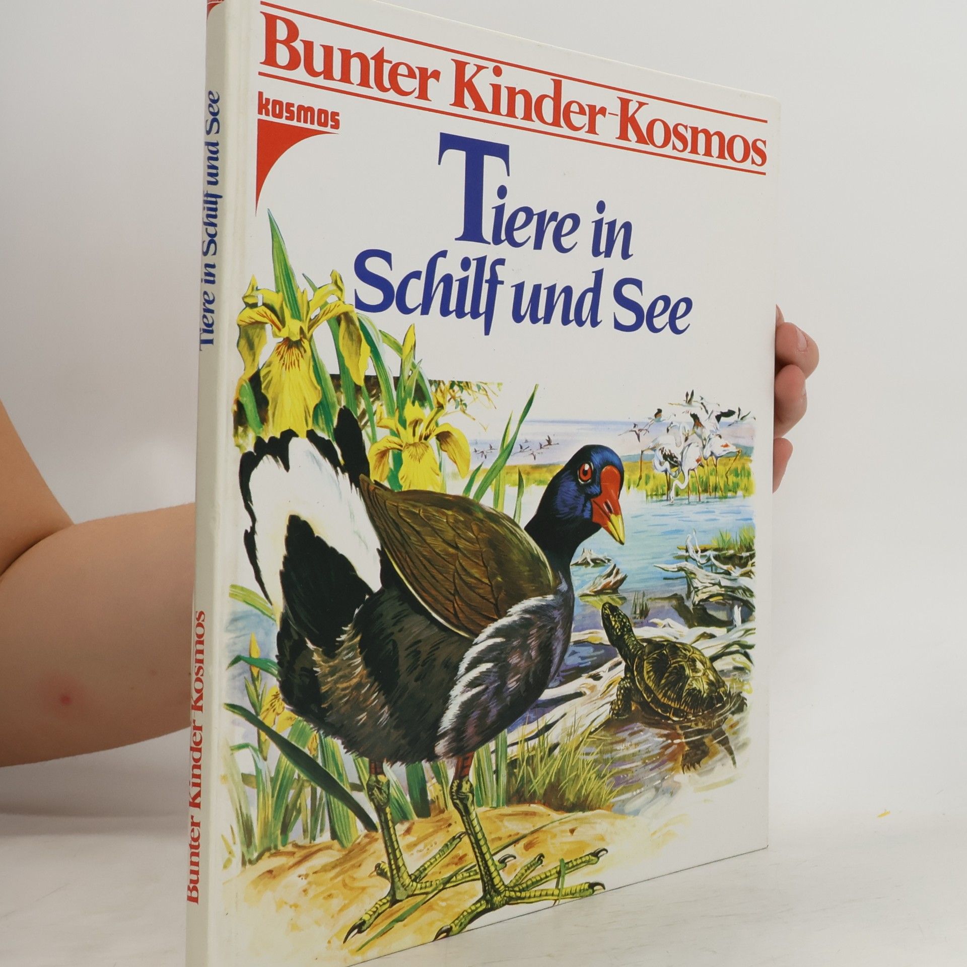 Tiere in Schilf und See. Bunter Kinder- Kosmos