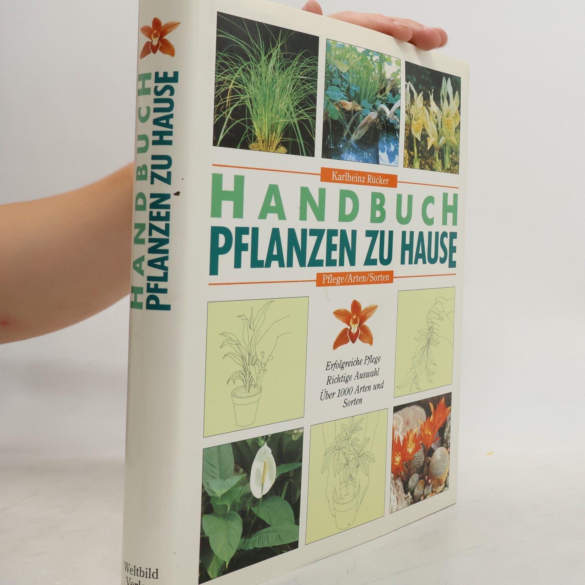 Karlheinz Rücker Handbuch Pflanzen zu Hause