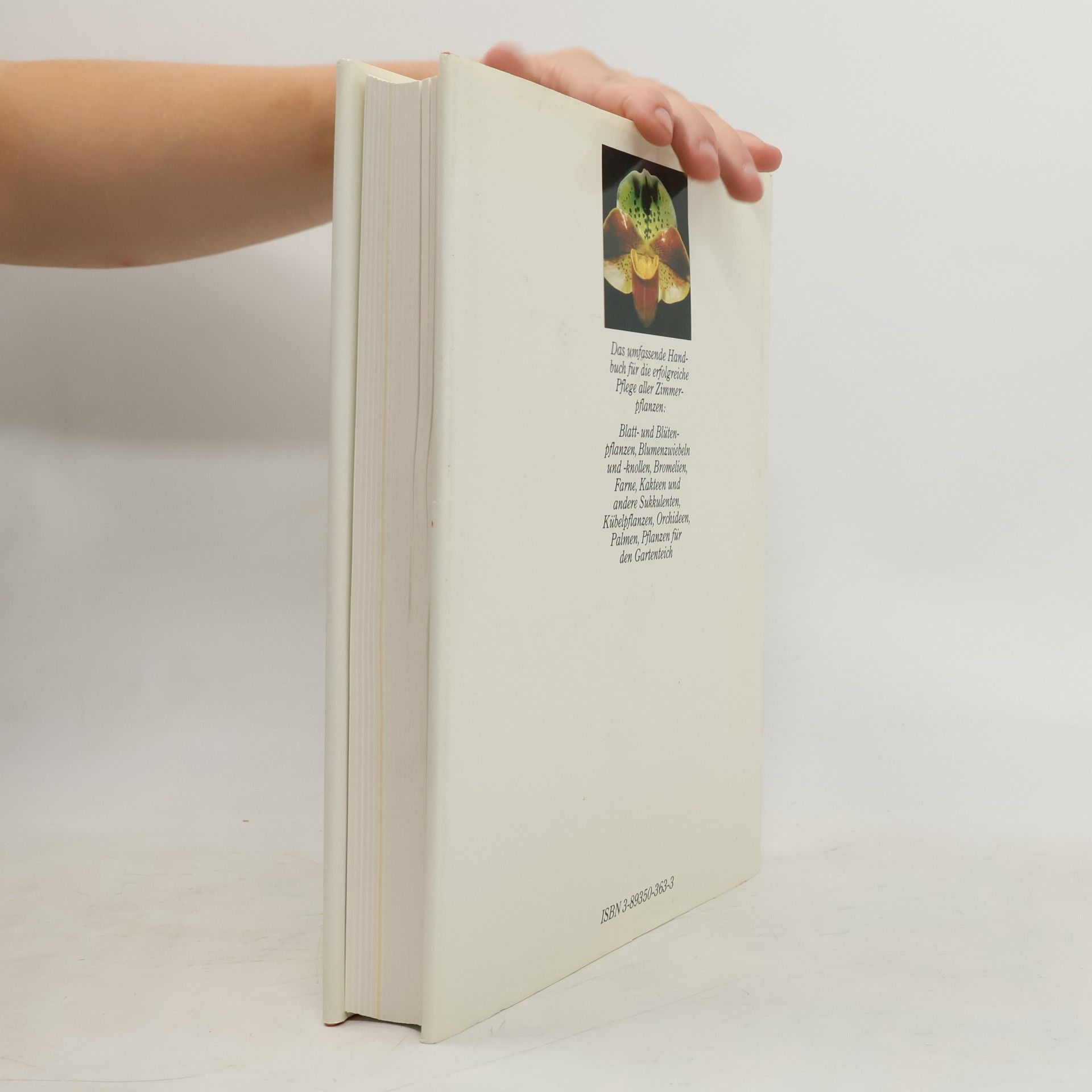 Karlheinz Rücker Handbuch Pflanzen zu Hause