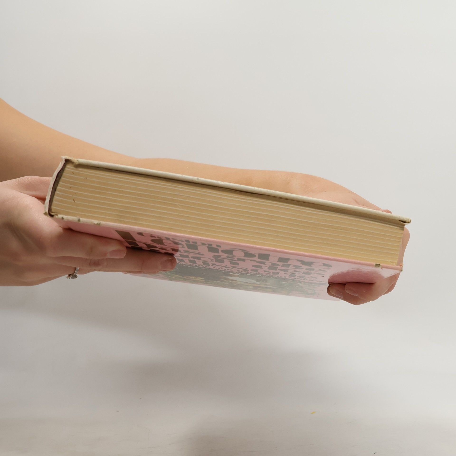 Gaston Lenôtre Das große Buch der Patisserie