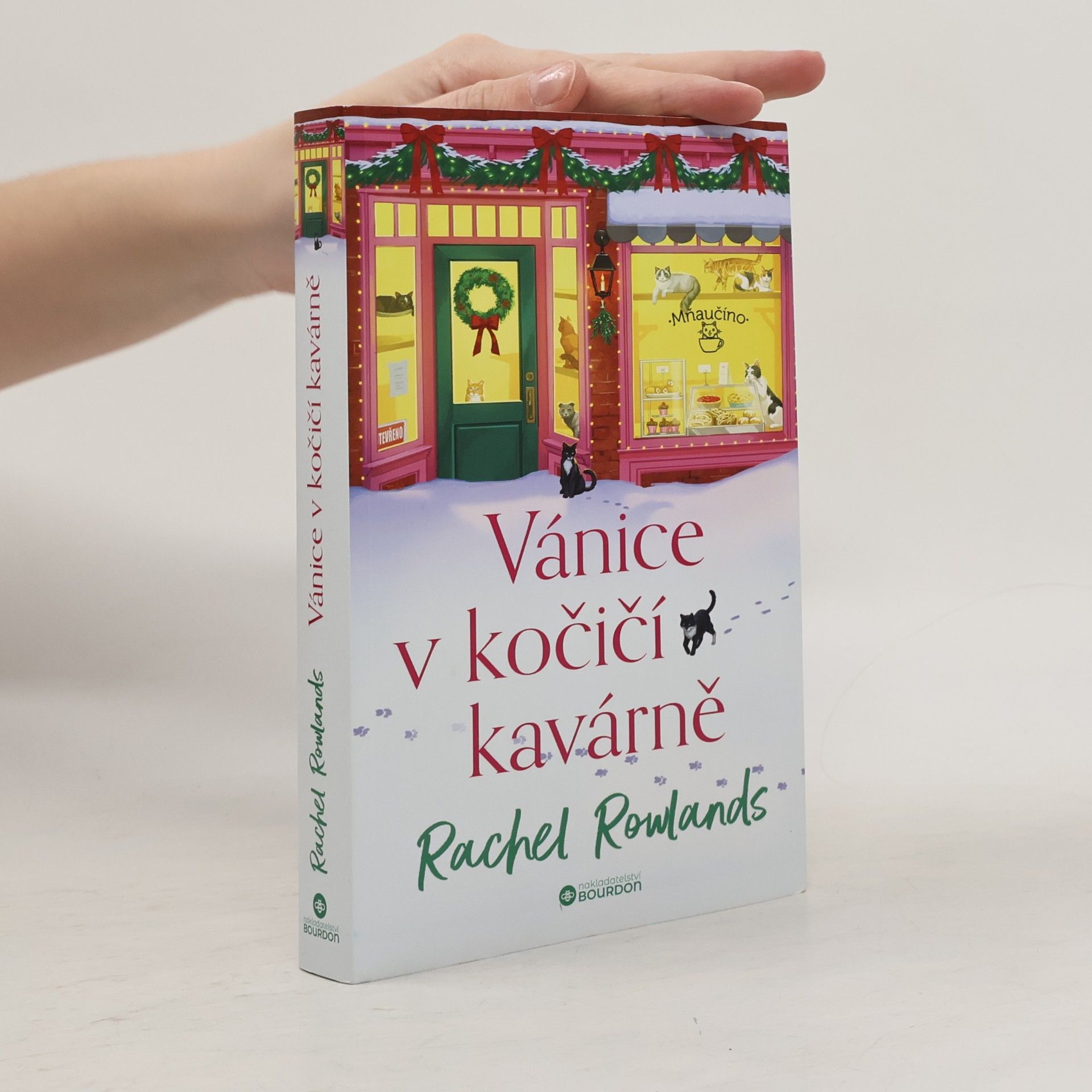 Rachel Rowlands Vánice v kočičí kavárně