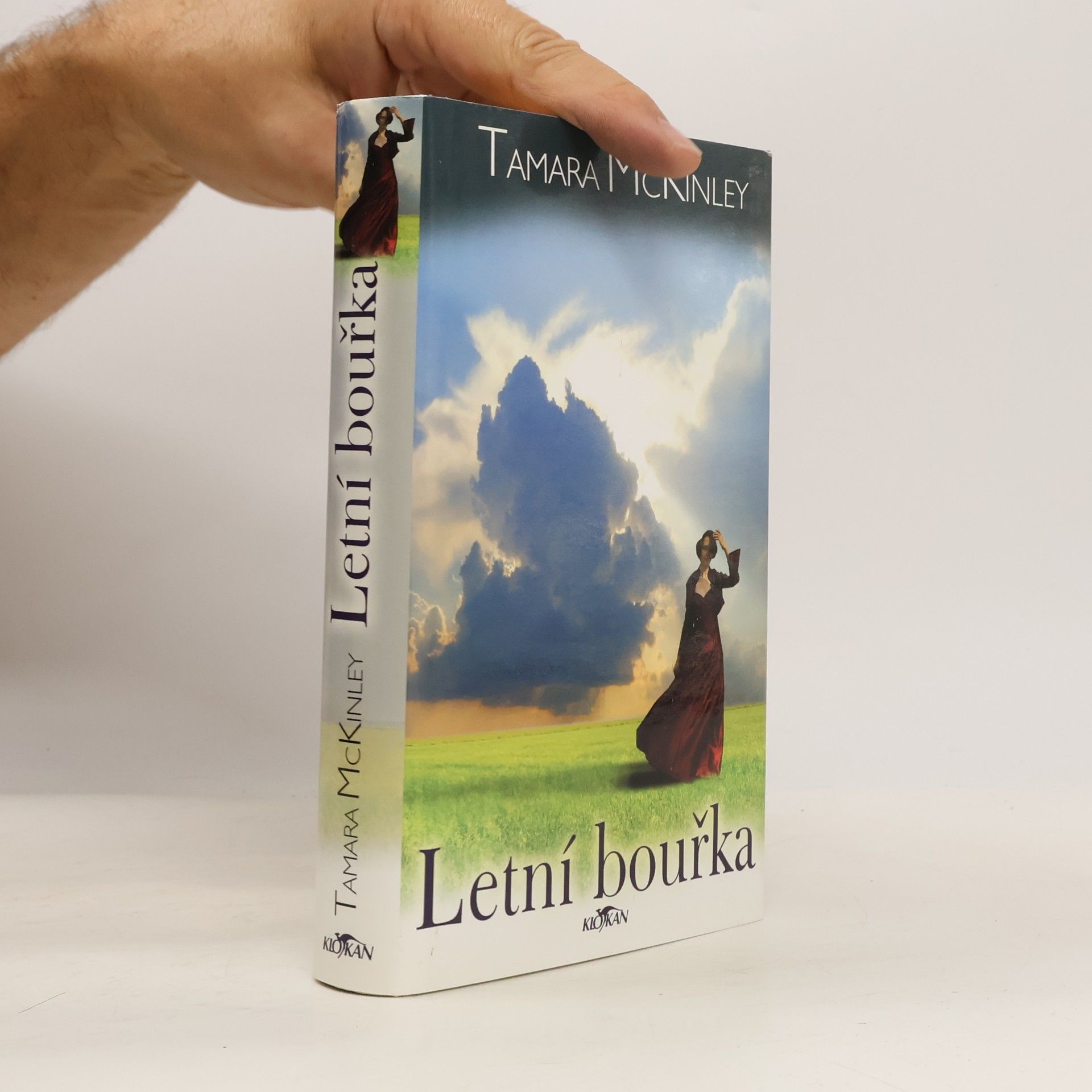 Tamara McKinley Letní bouřka