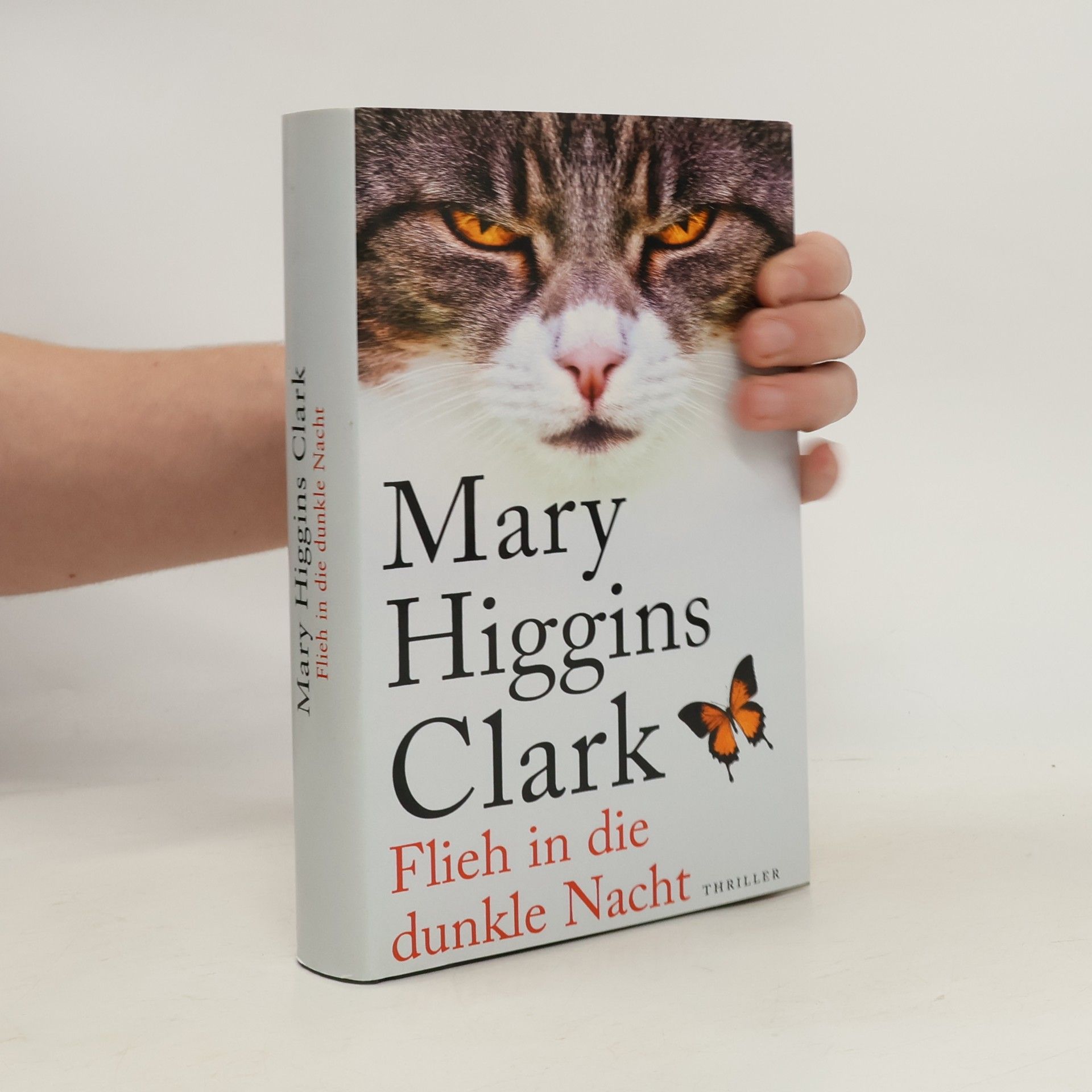 Mary Higgins Clark Flieh in die dunkle Nacht